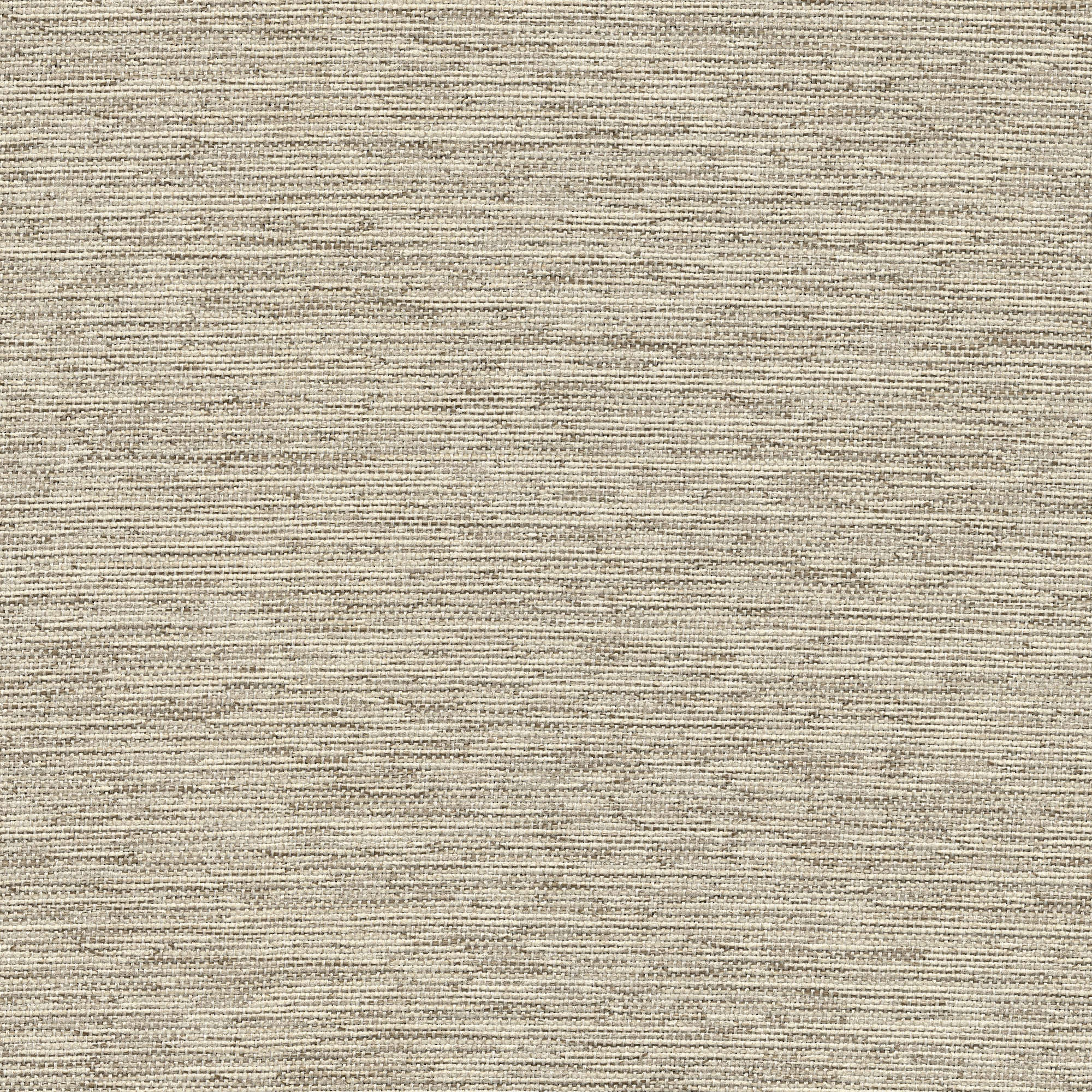 54013 CANVAS (CORSAIR)