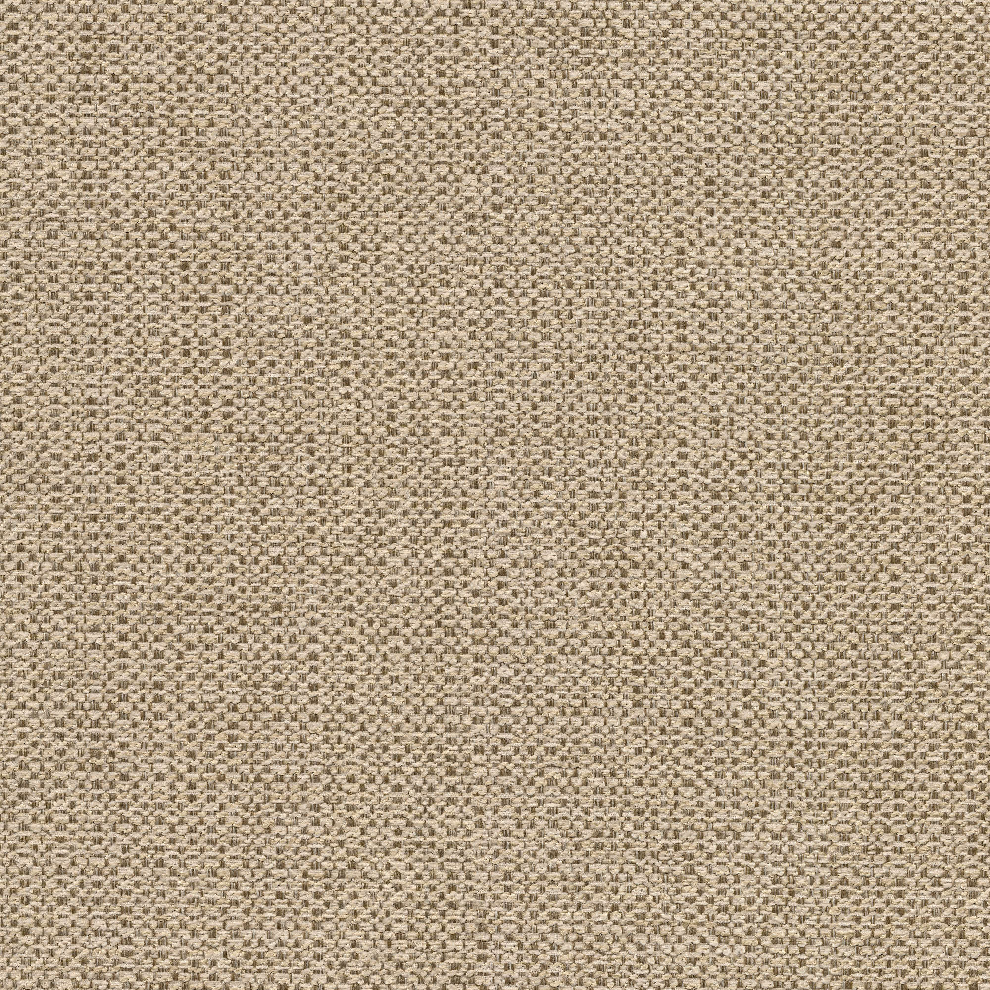 54024 KHAKI (STELLAR)