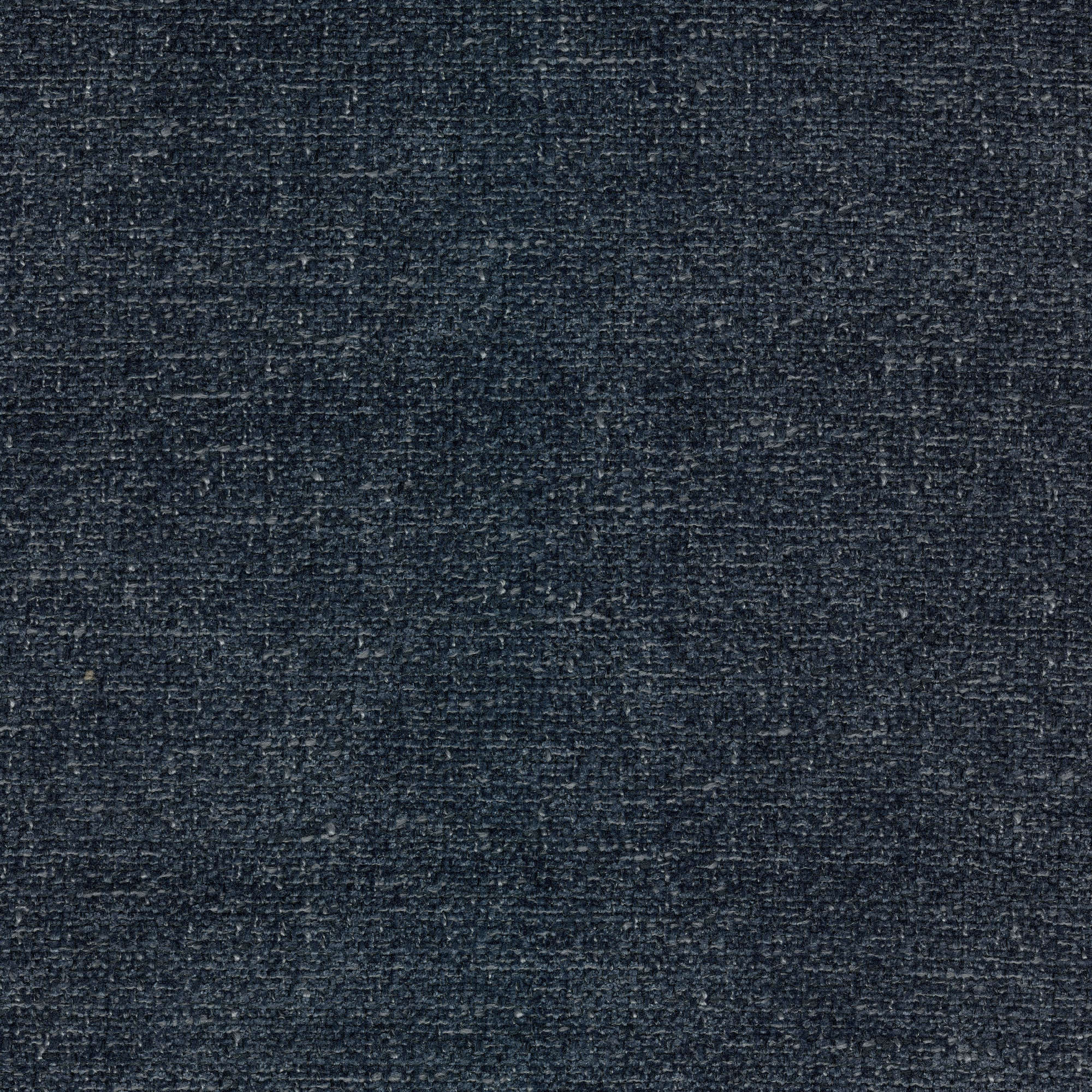 54035 BLUEBERRY (MACHO)