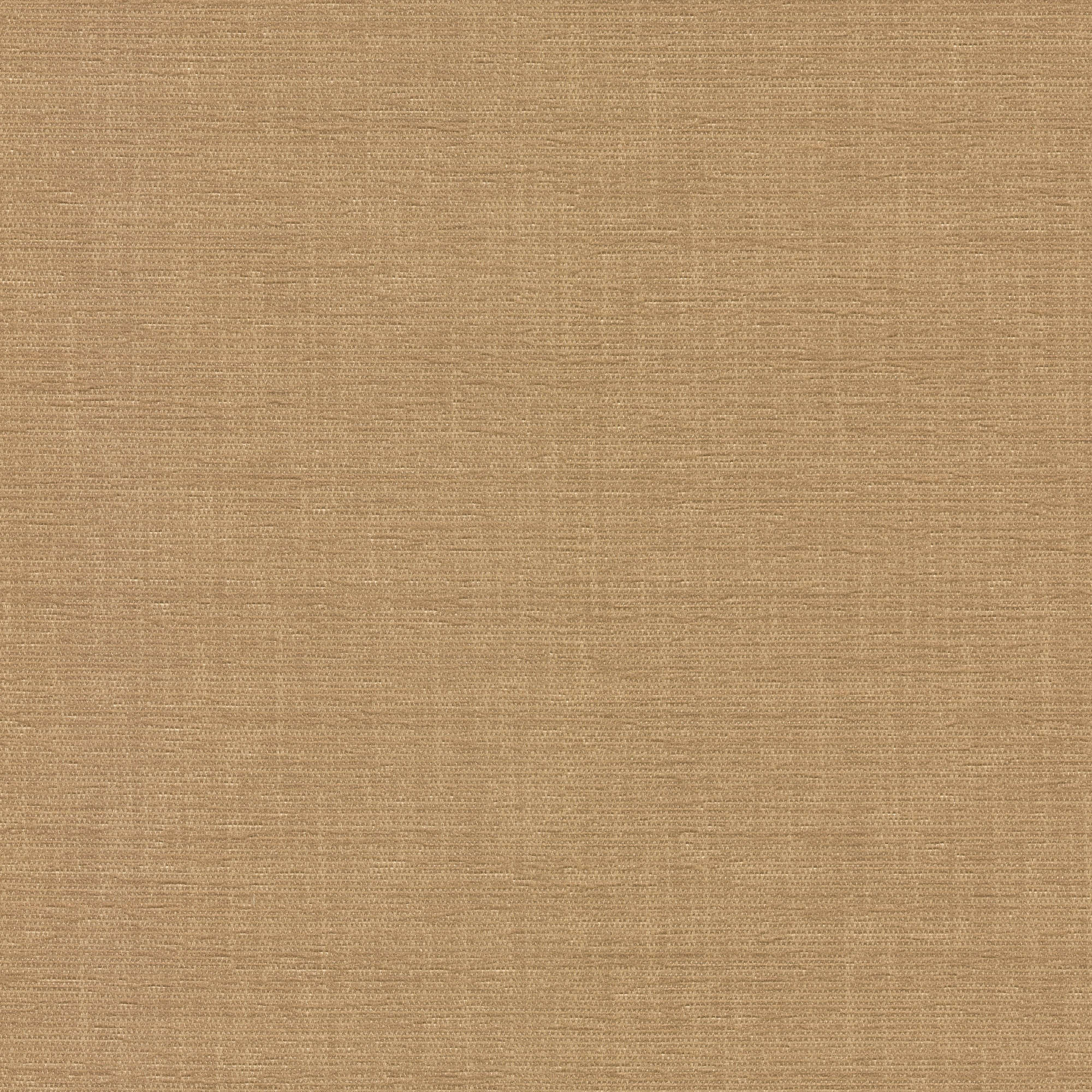 54045 TAN (ELOISE)