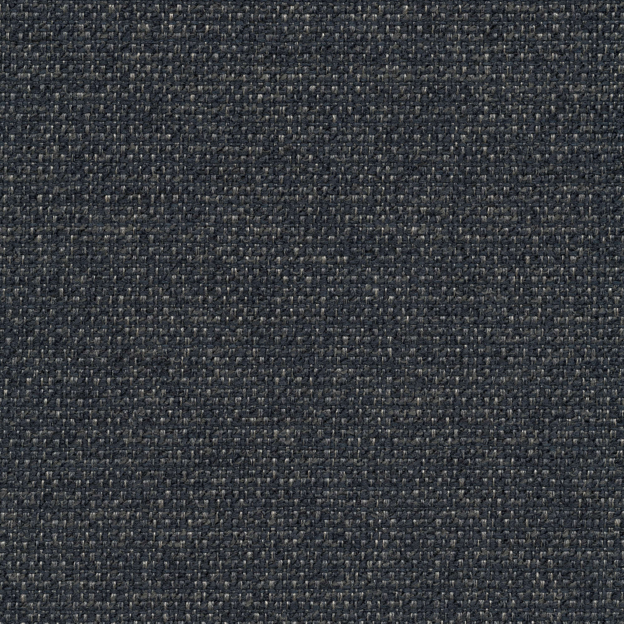 54046 INDIGO (CHORUS)