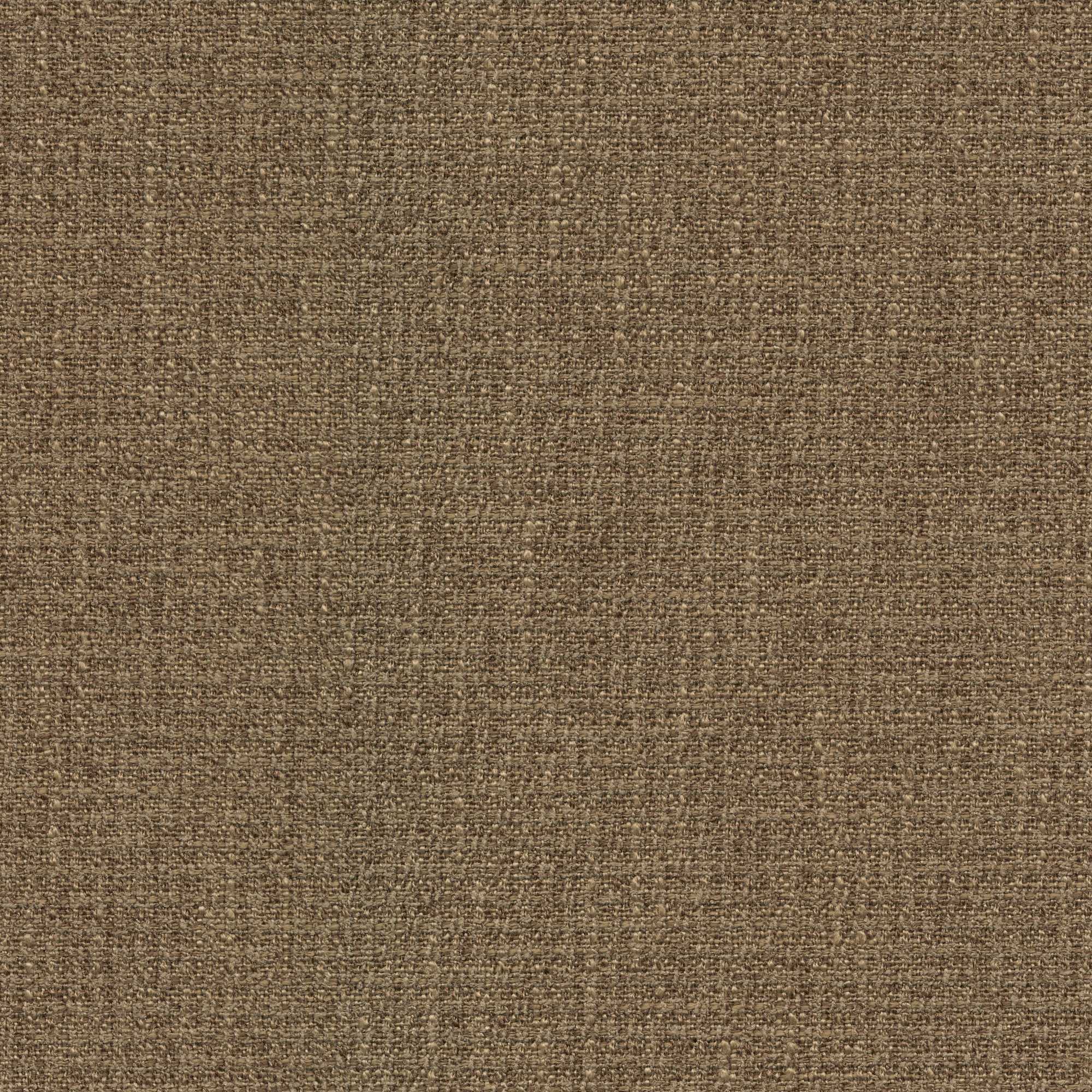 54111 TOAST (TITLEIST)