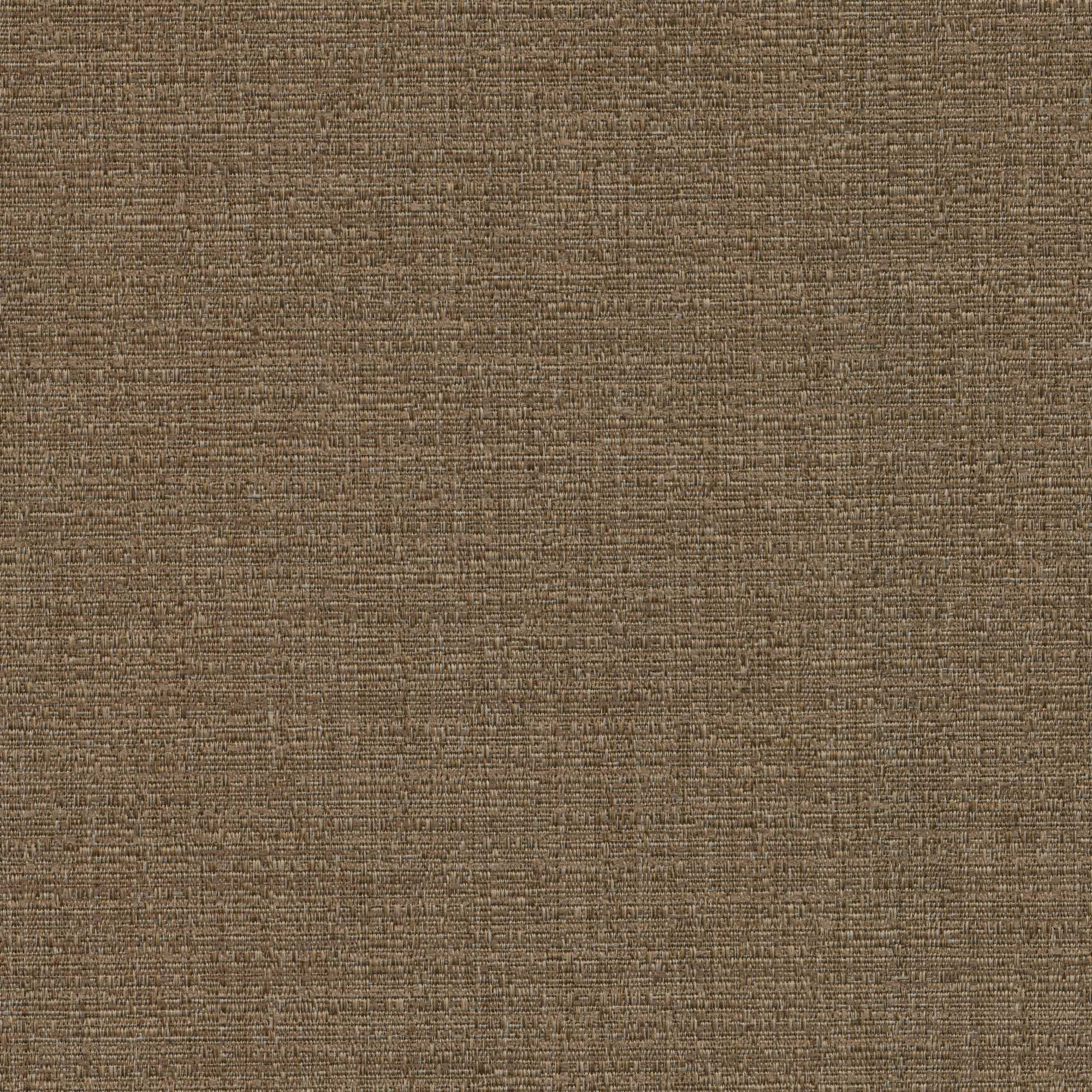 54119 WALNUT (AMELIA)