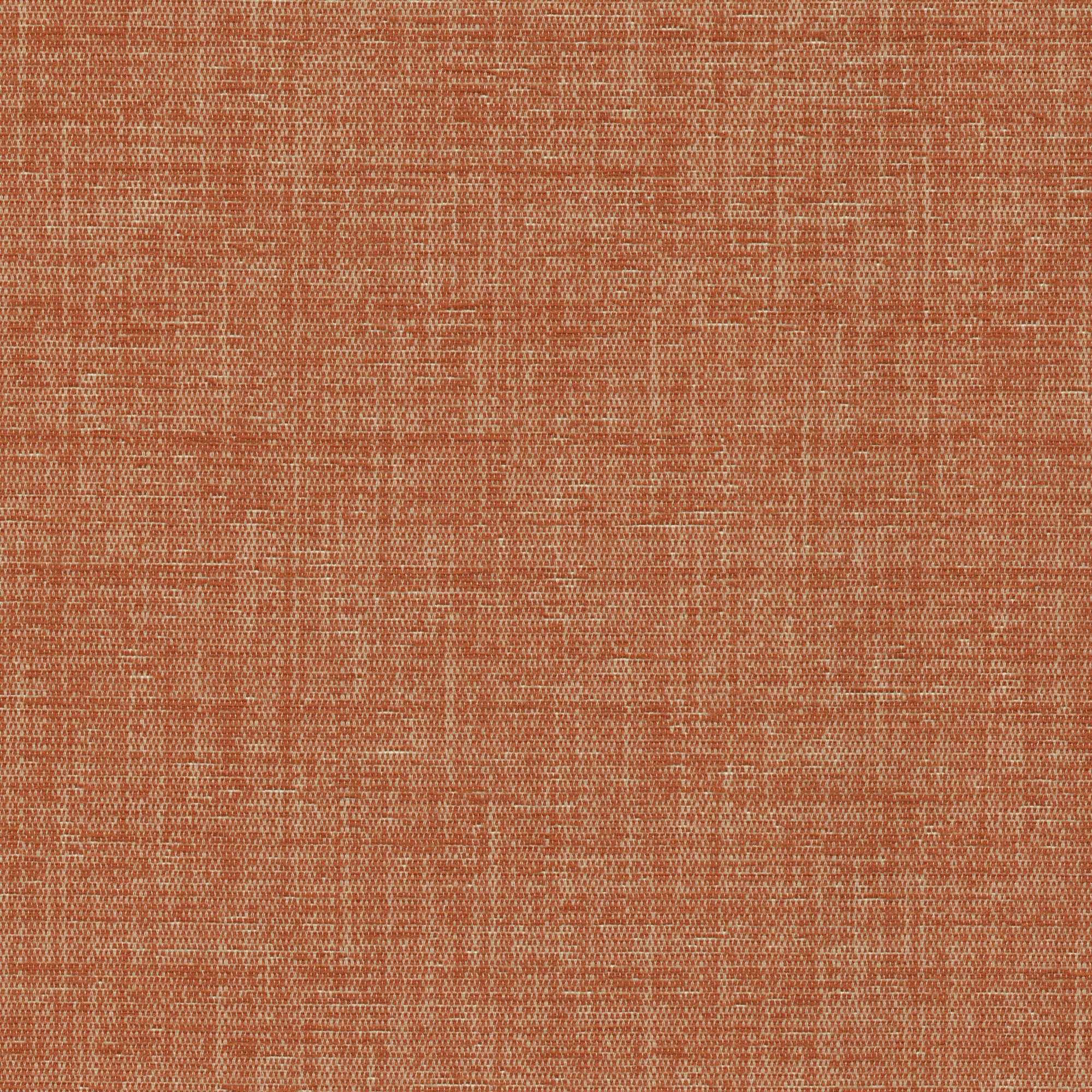 54122 NECTARINE (ELOISE)