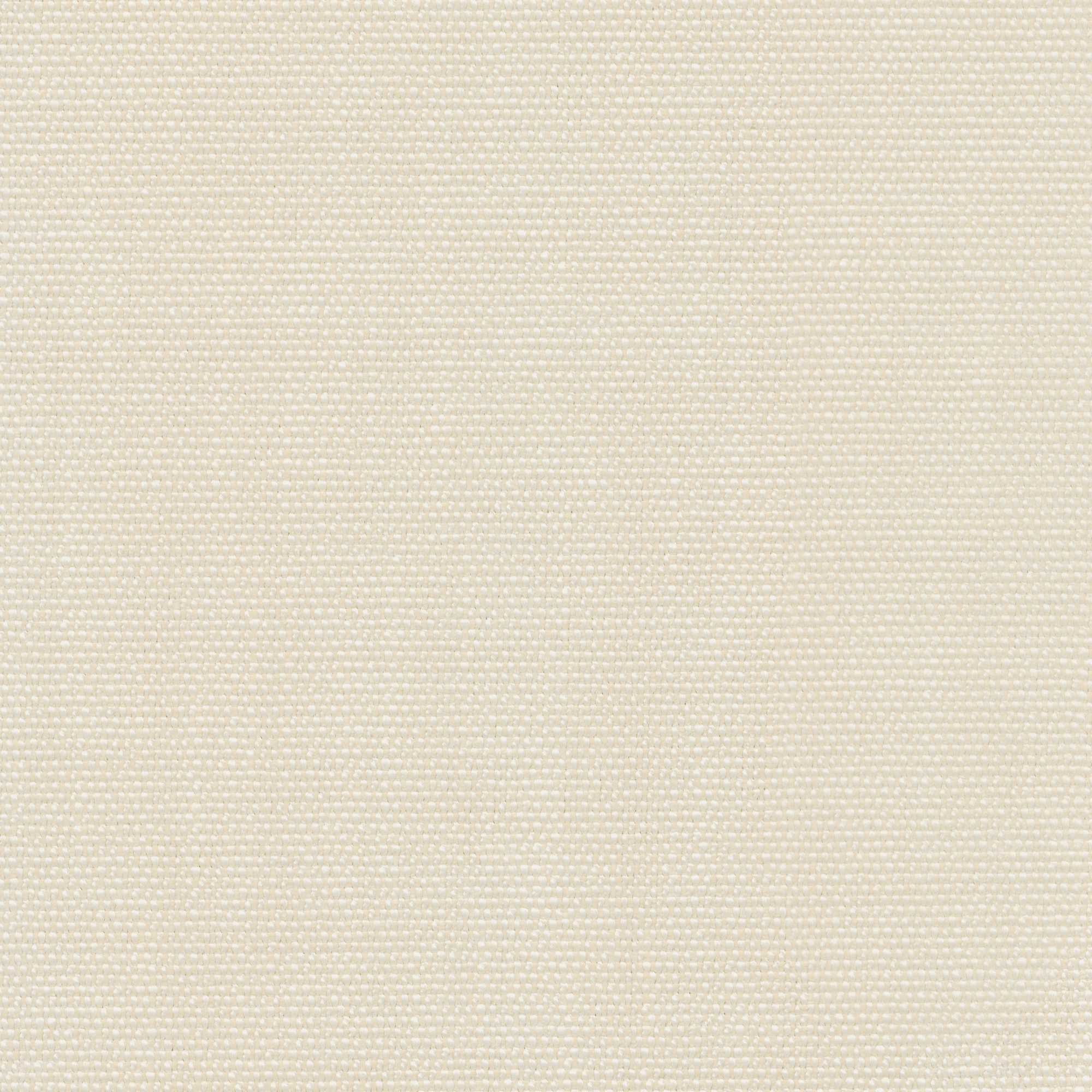 54205 WHITE (LUCKY)