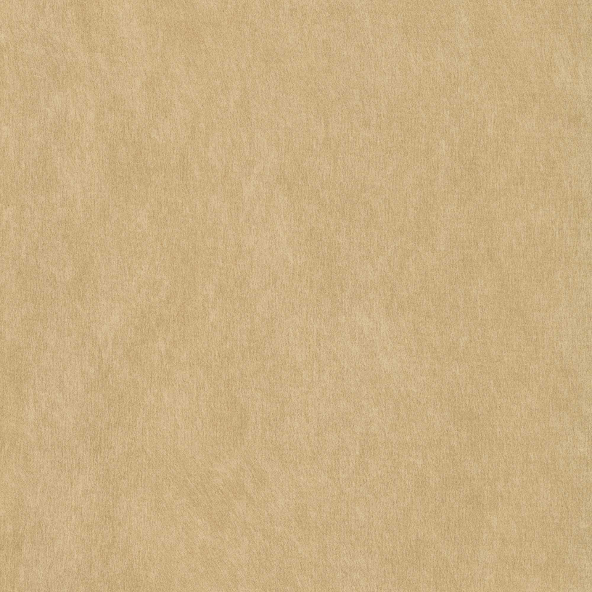 54222 OYSTER (COMPASS)