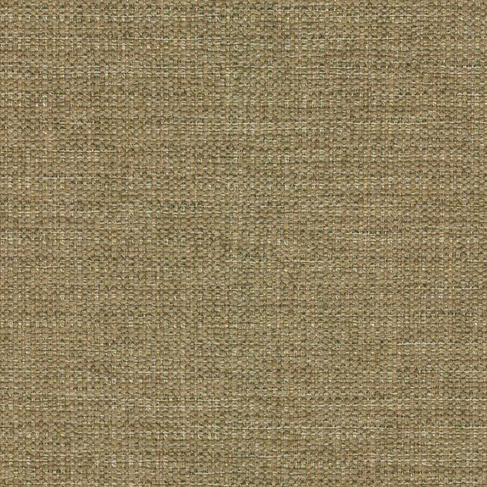 54224 MUSHROOM (VOGUE)