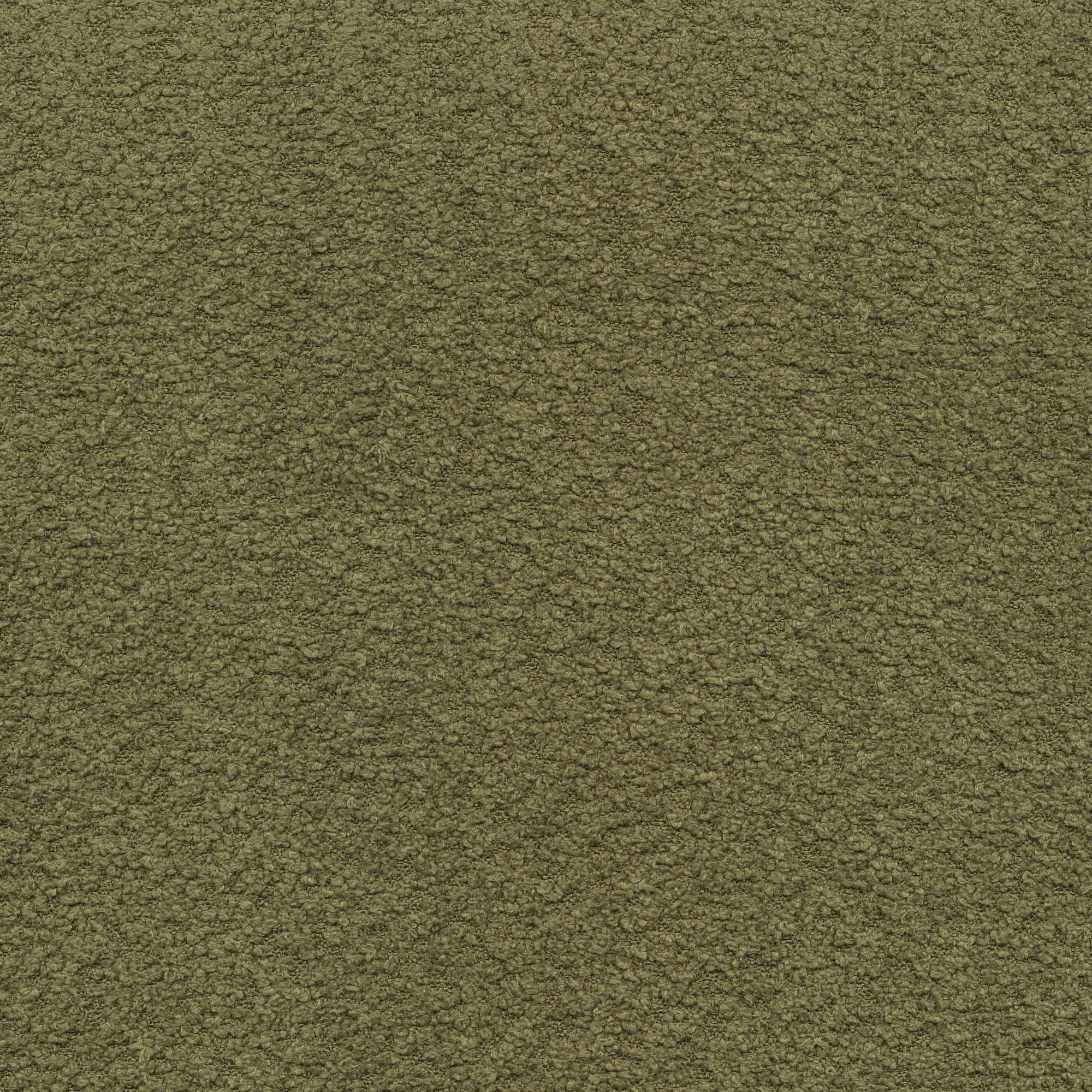 54227 OLIVE (FLIRT)