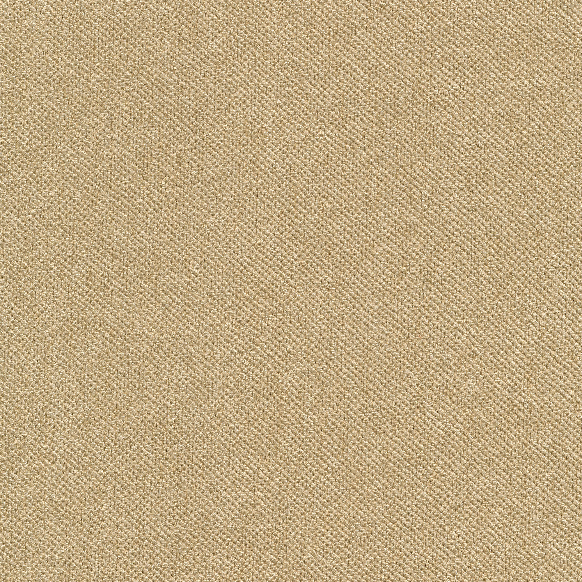 54307 SAND (TEMPO)