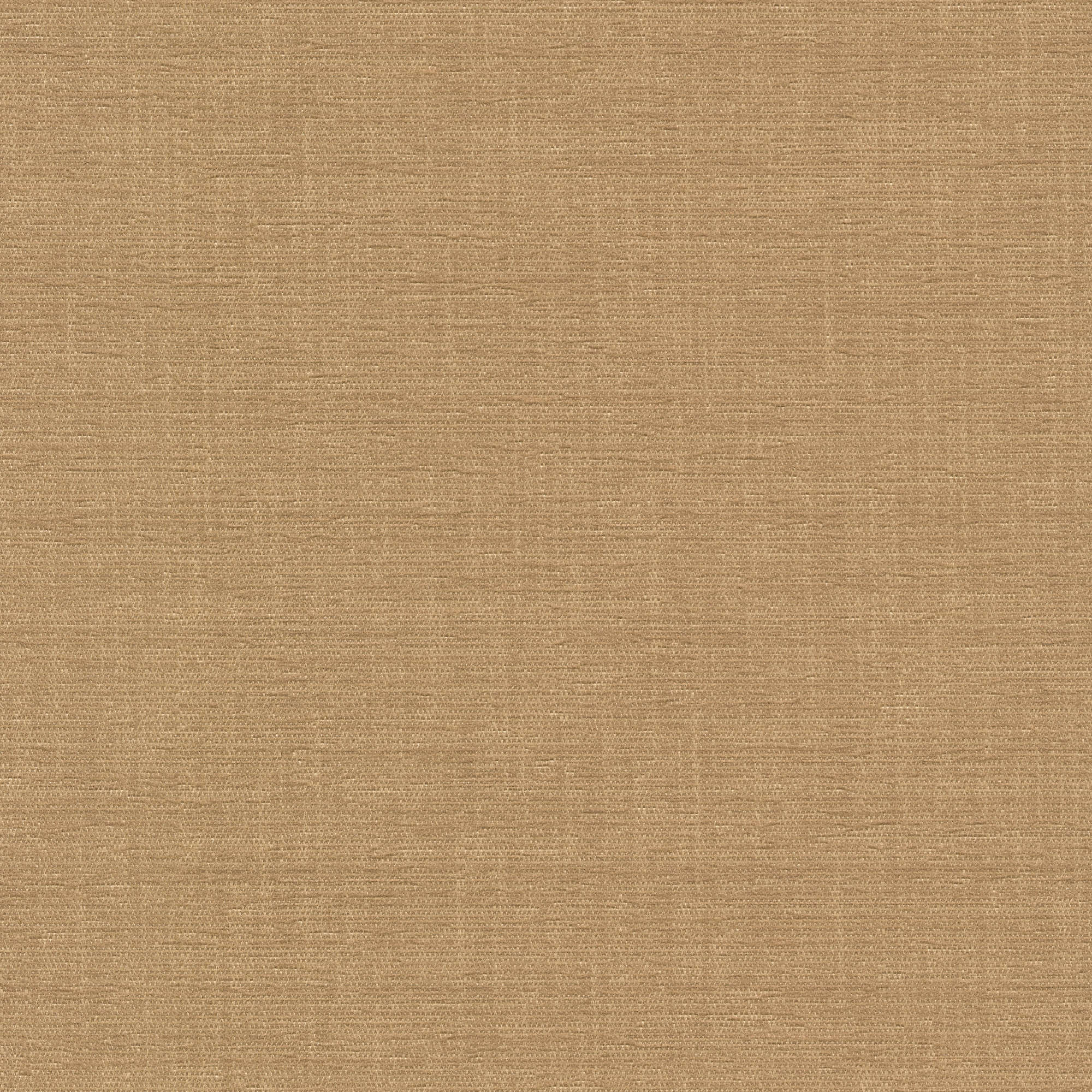 54314 TAN (ELOISE)