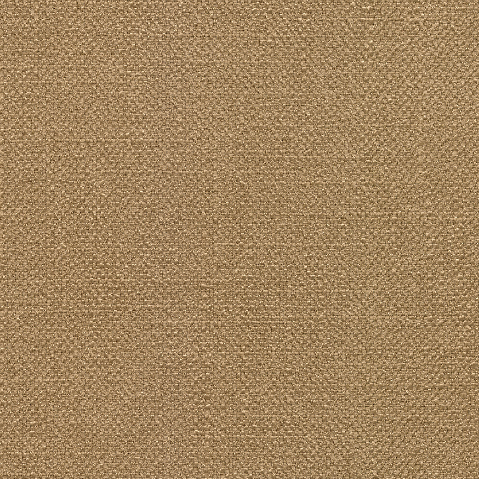 54315 FAWN (DELIGHT)