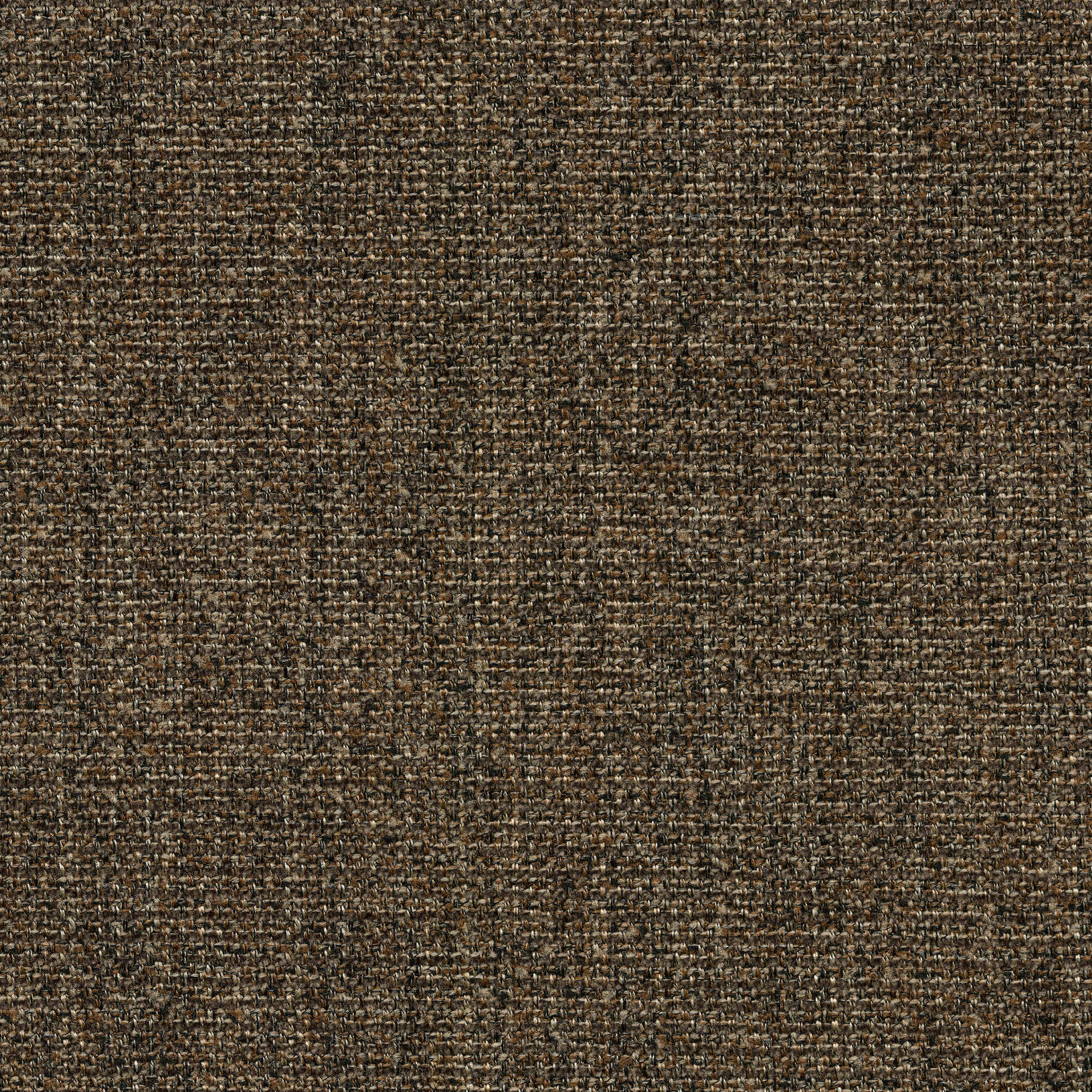 54320 COFFEE (VILLAGE)