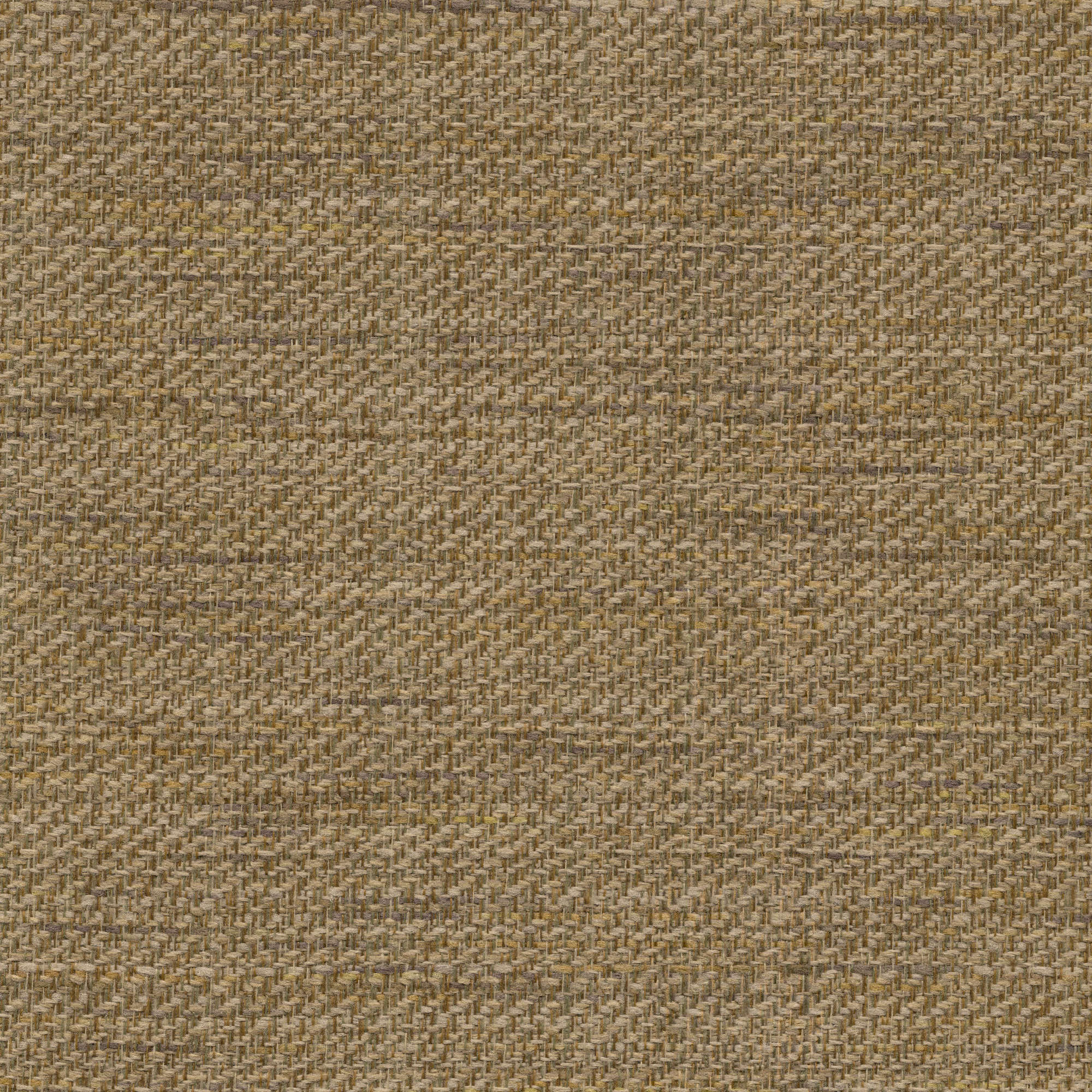 54324 RAFFIA (TEHAMA)