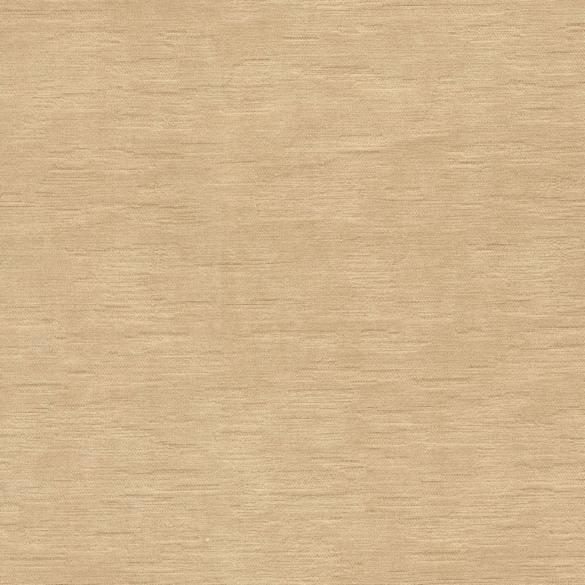 54331 OYSTER (IMPERIAL)