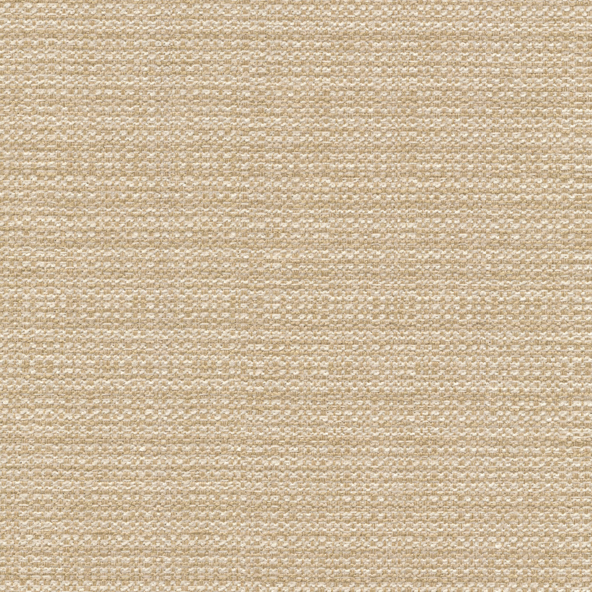 54334 TAN (STELLAR)