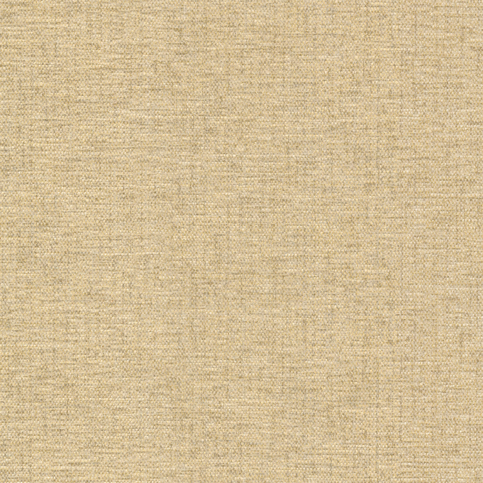 54337 CANVAS (ASTRO)