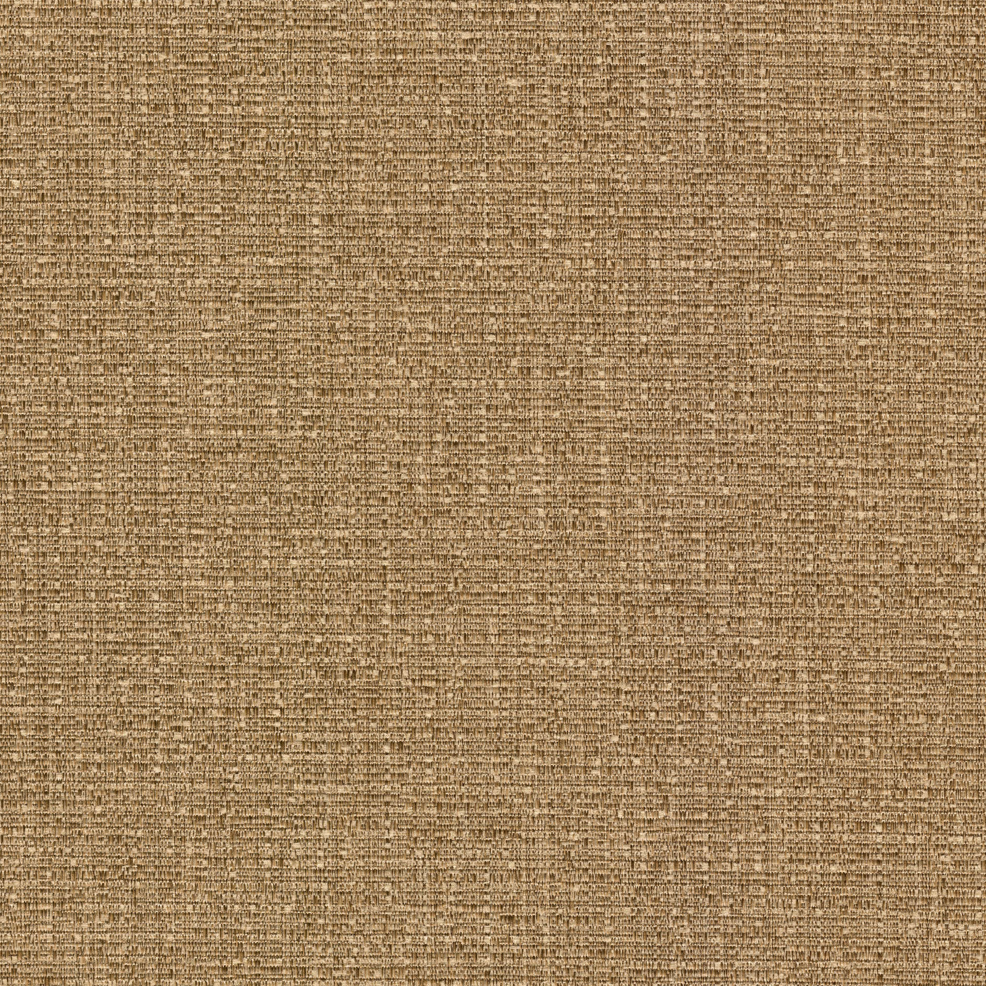 54338 CAMEL (AMELIA)