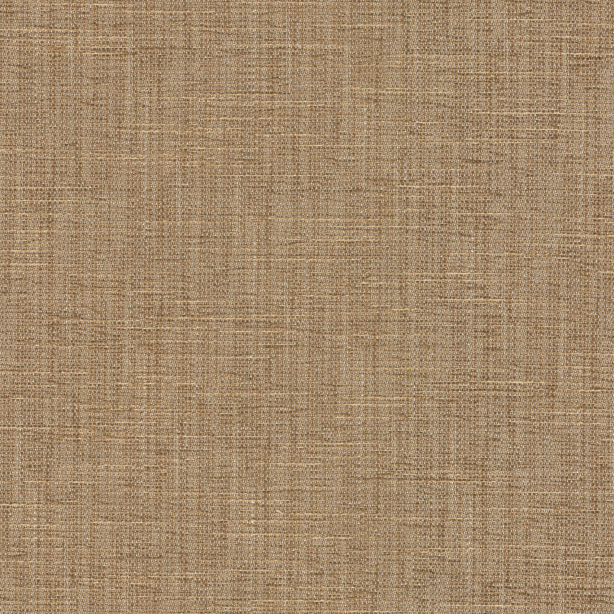 54340 ACORN (ELLIOT)