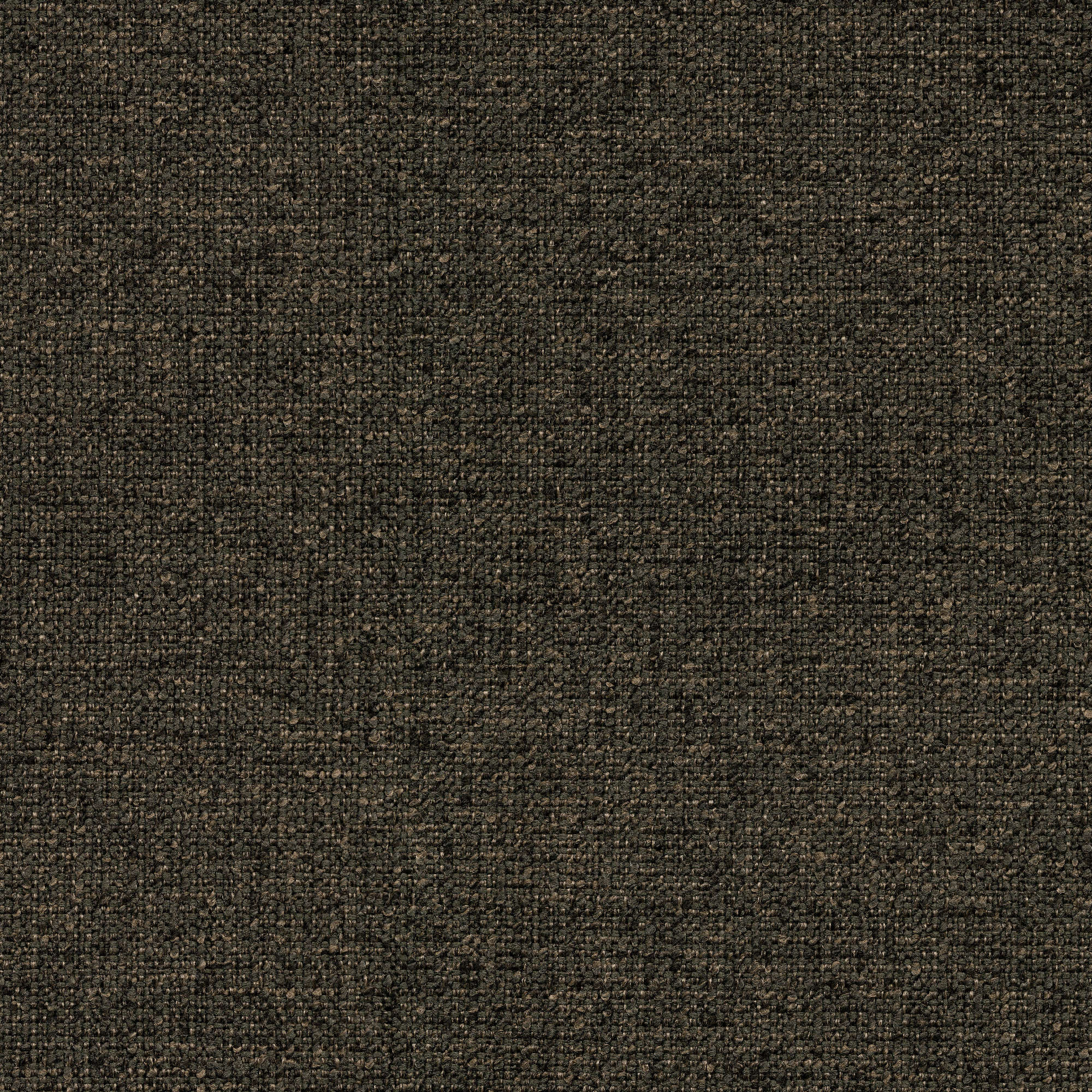 54344 EBONY (ZEST)