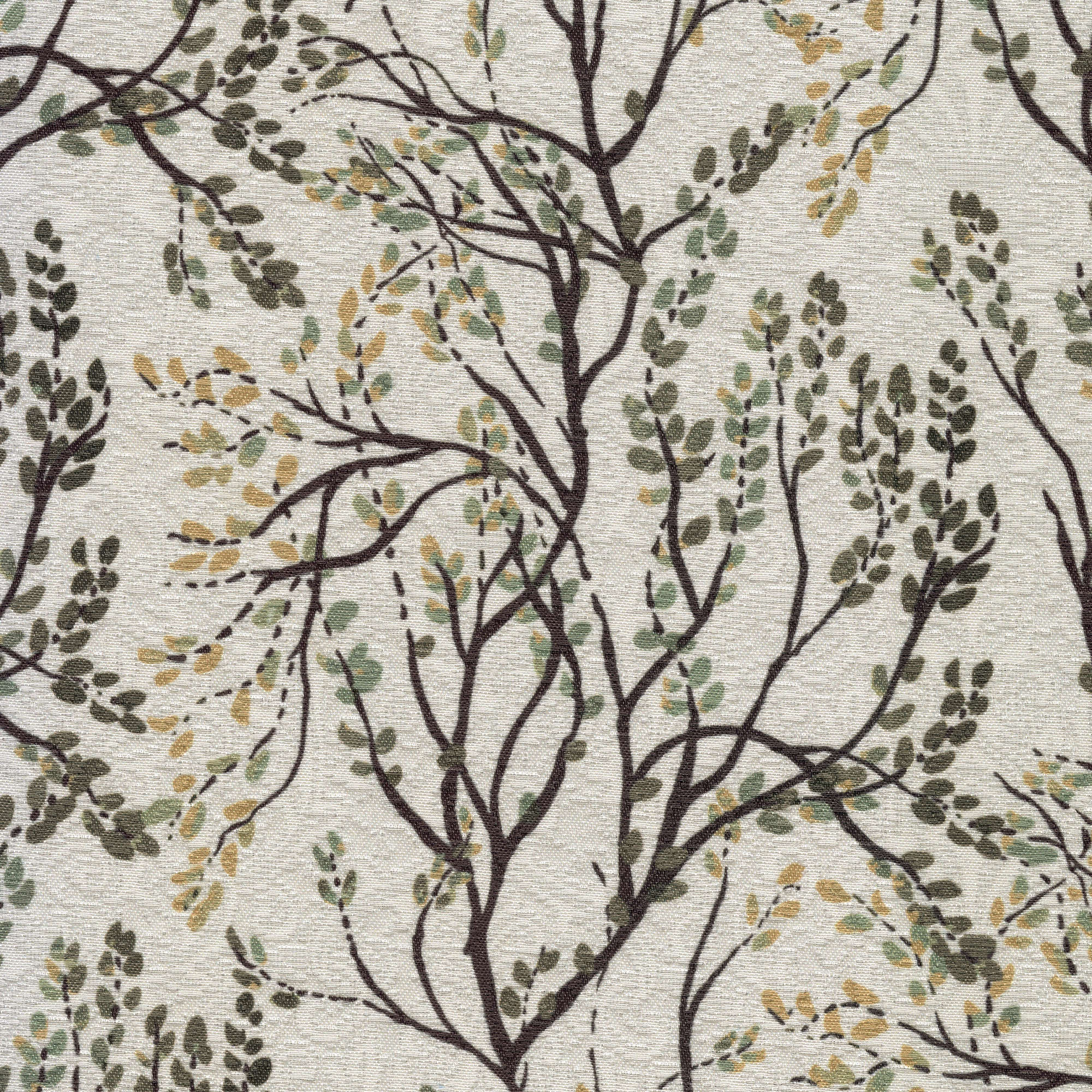 54405 DESERT (DOGWOOD)