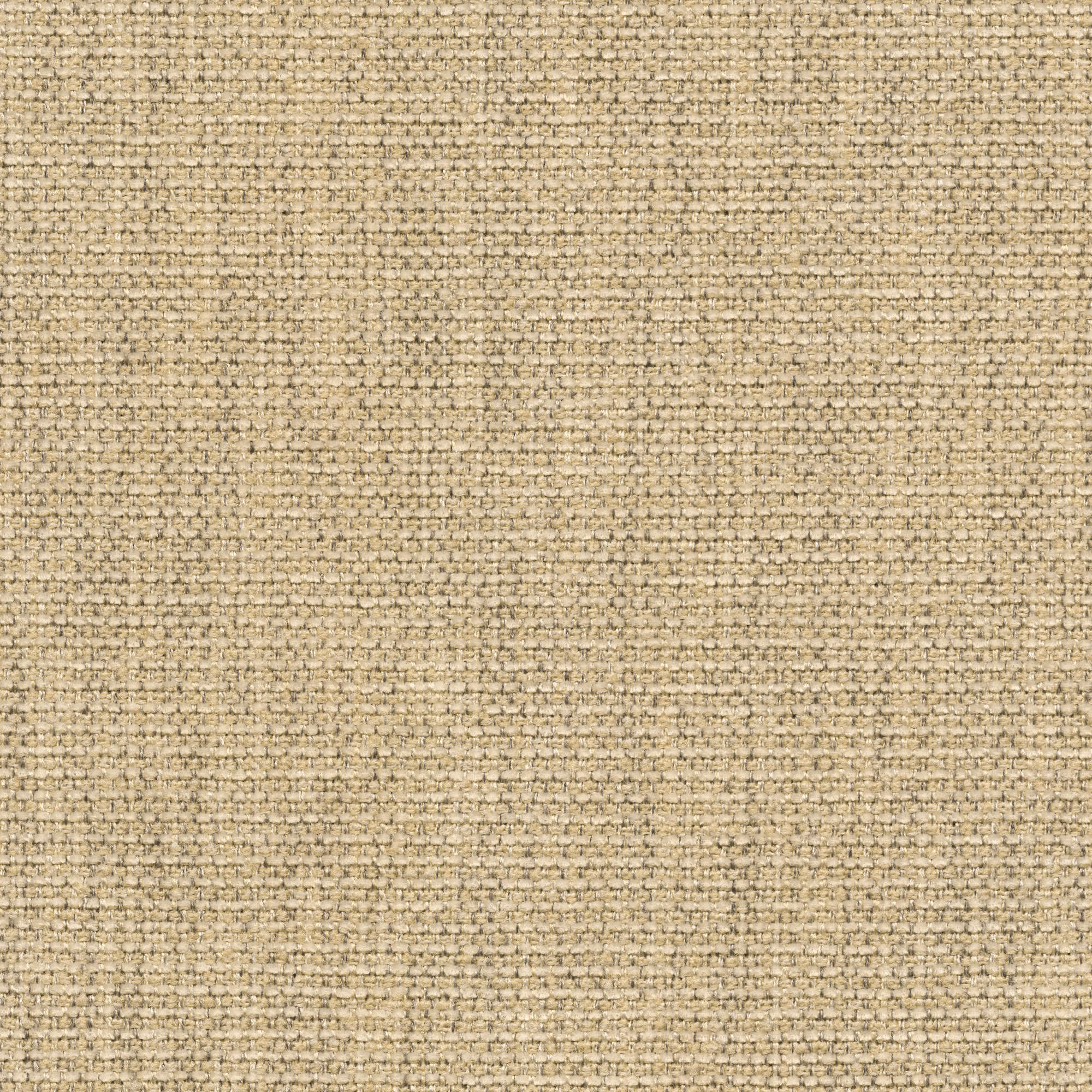 54408 PEARL (VILLAGE)