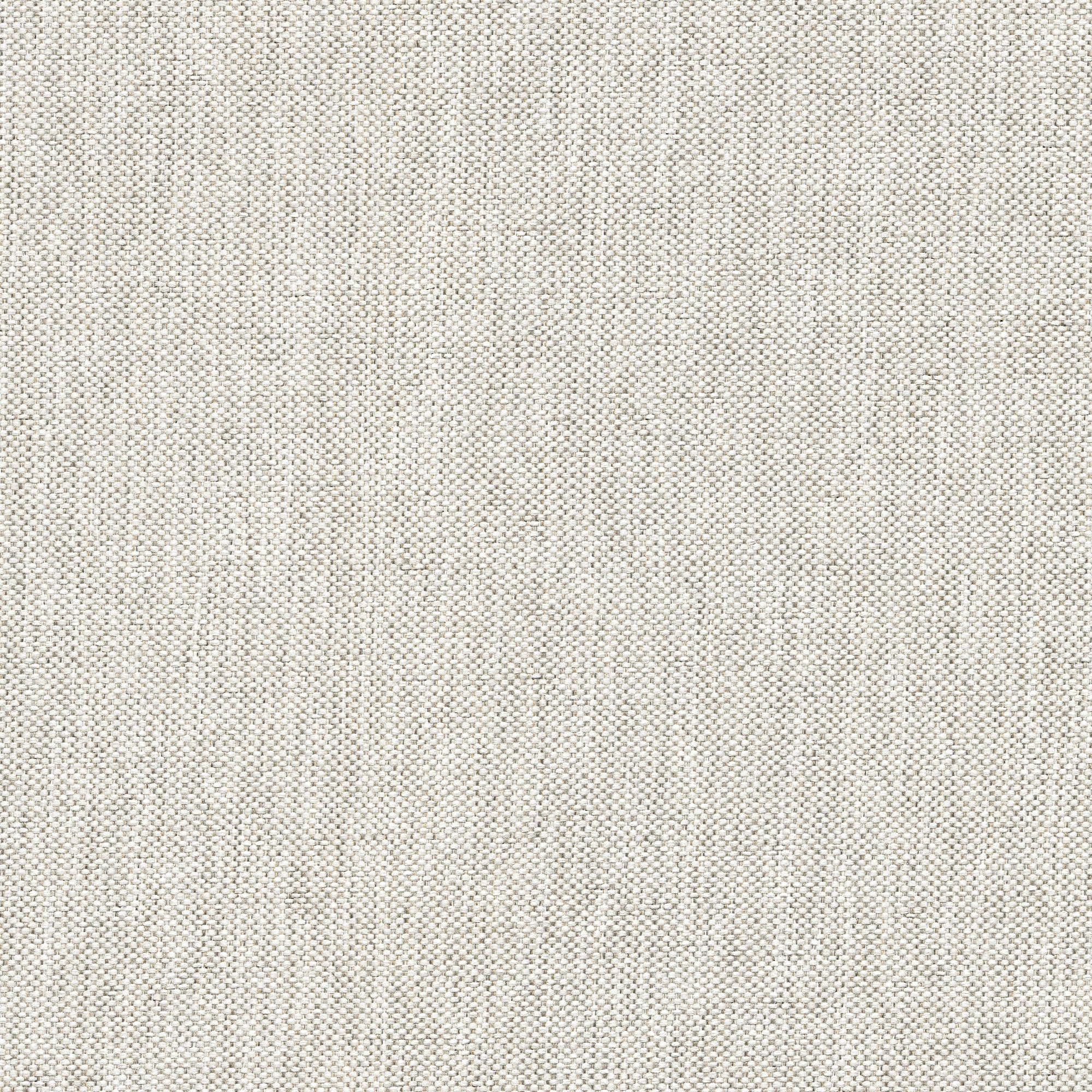 54413 FOG (CANDY)