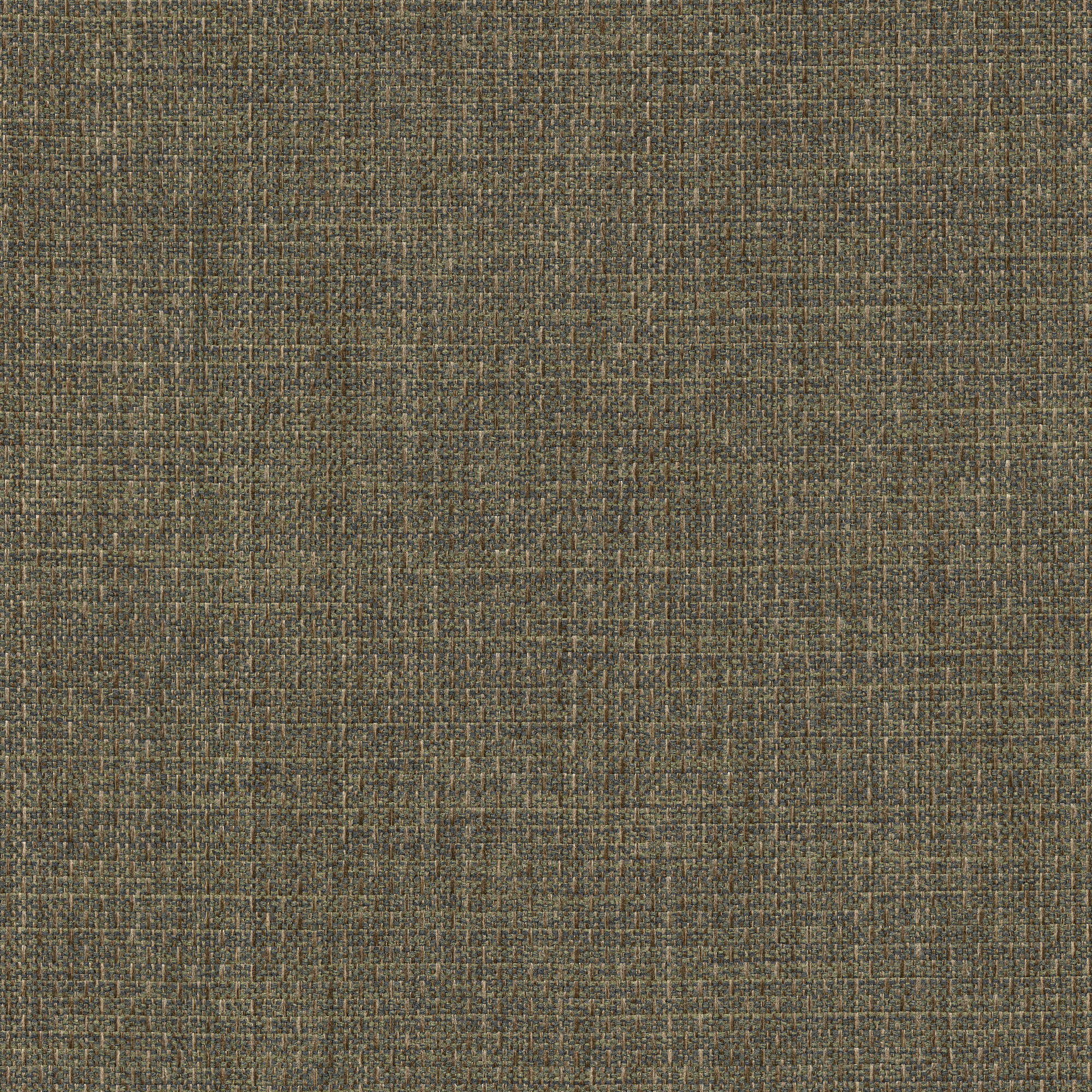 54422 SAGE (ALLURE)