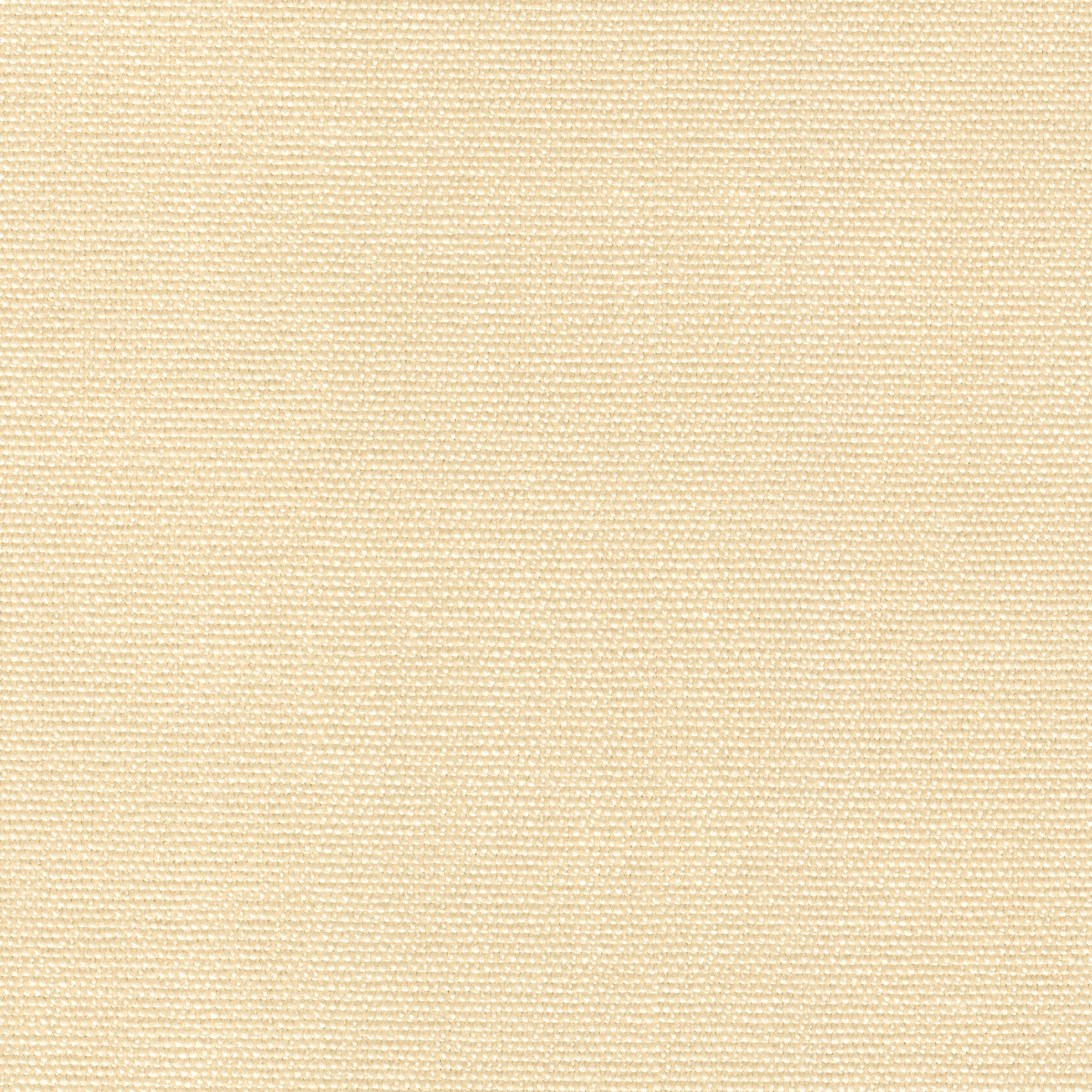 54423 WHITE (LUCKY)