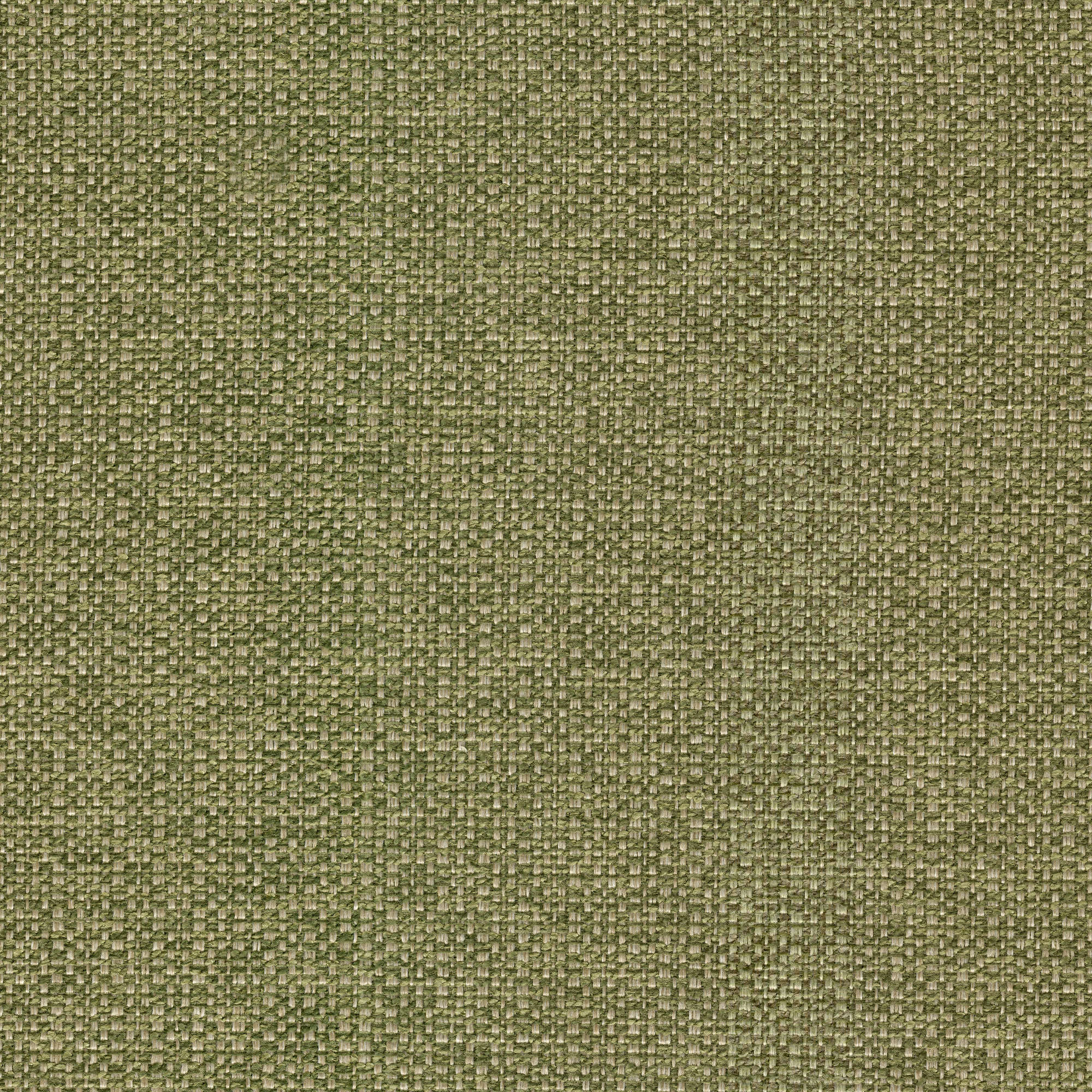 54428 PISTACHIO (STELLAR)