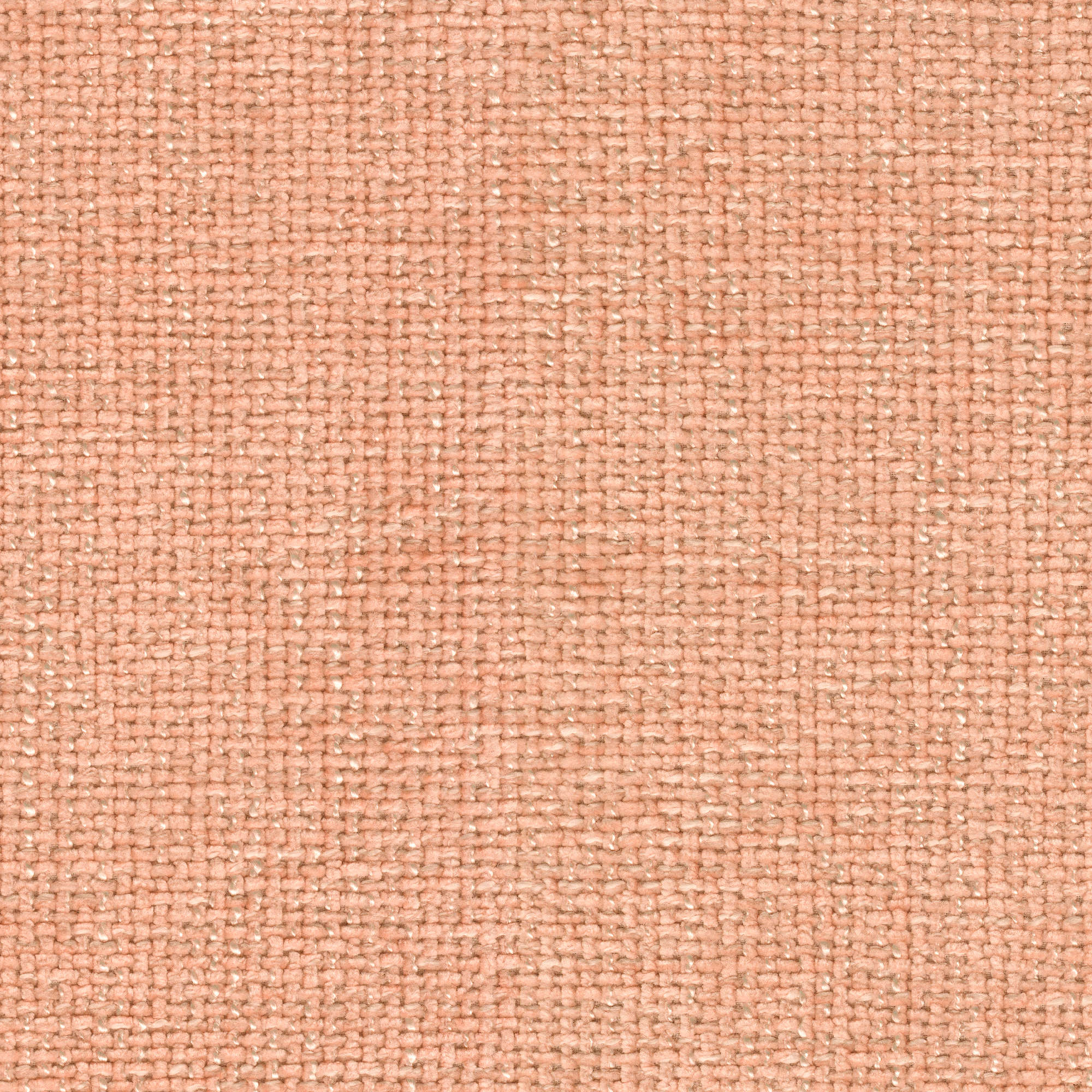 54431 BLUSH (NEMO)