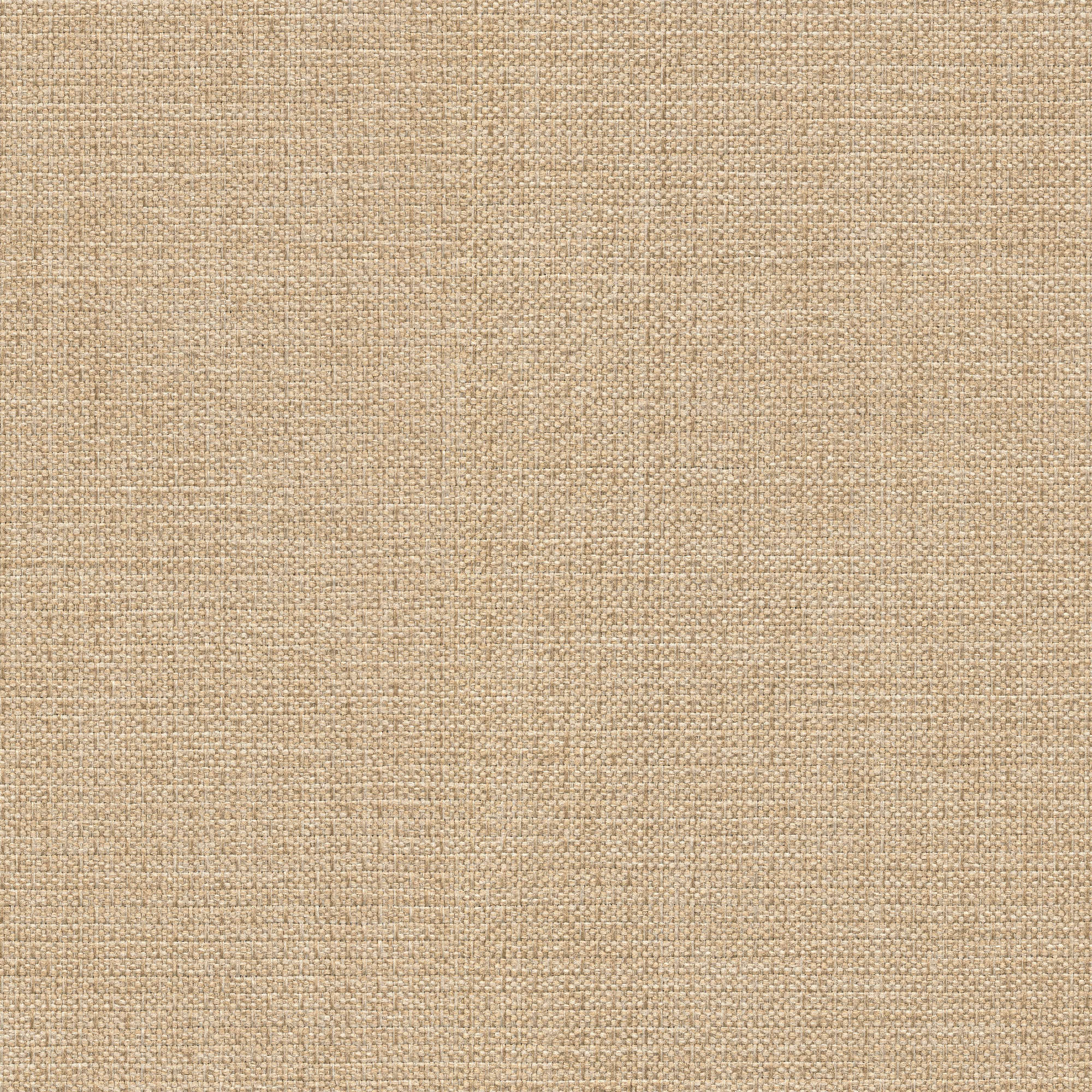 54434 VANILLA (ALLURE)