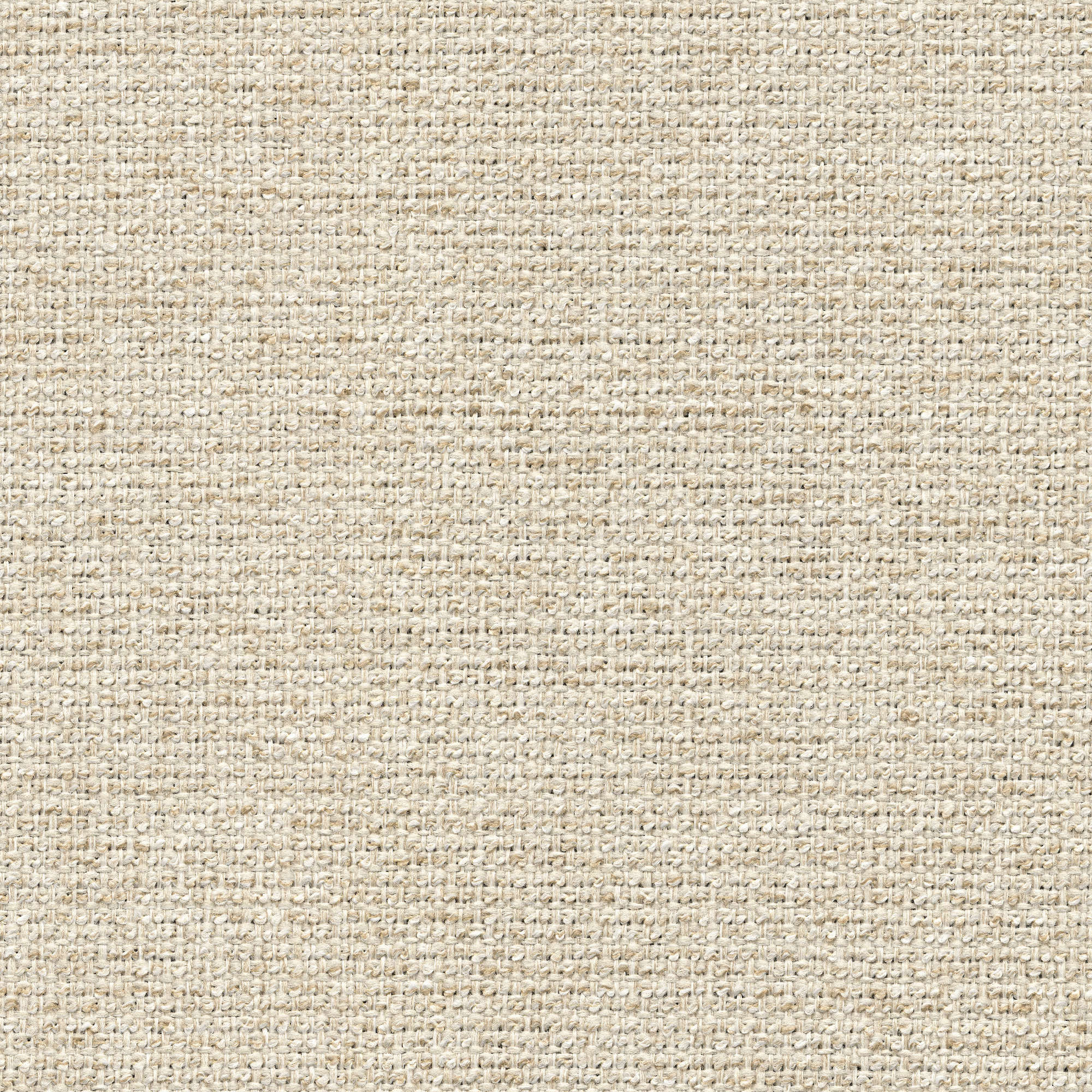 54439 SHELL (CHORUS)