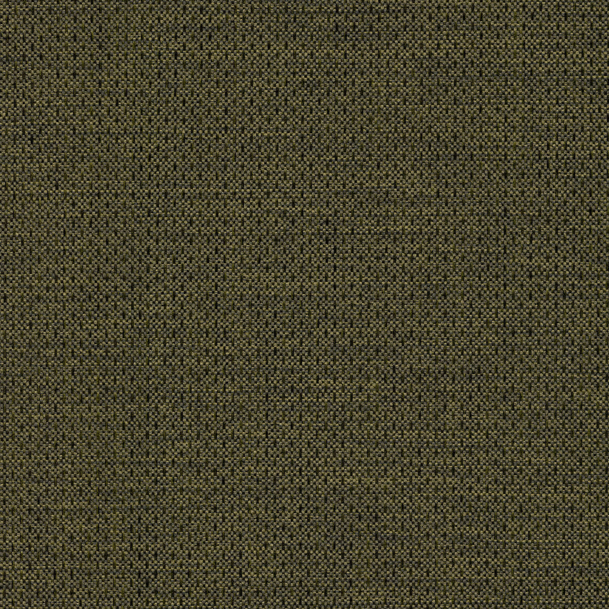 54440 BASIL (ALLURE)