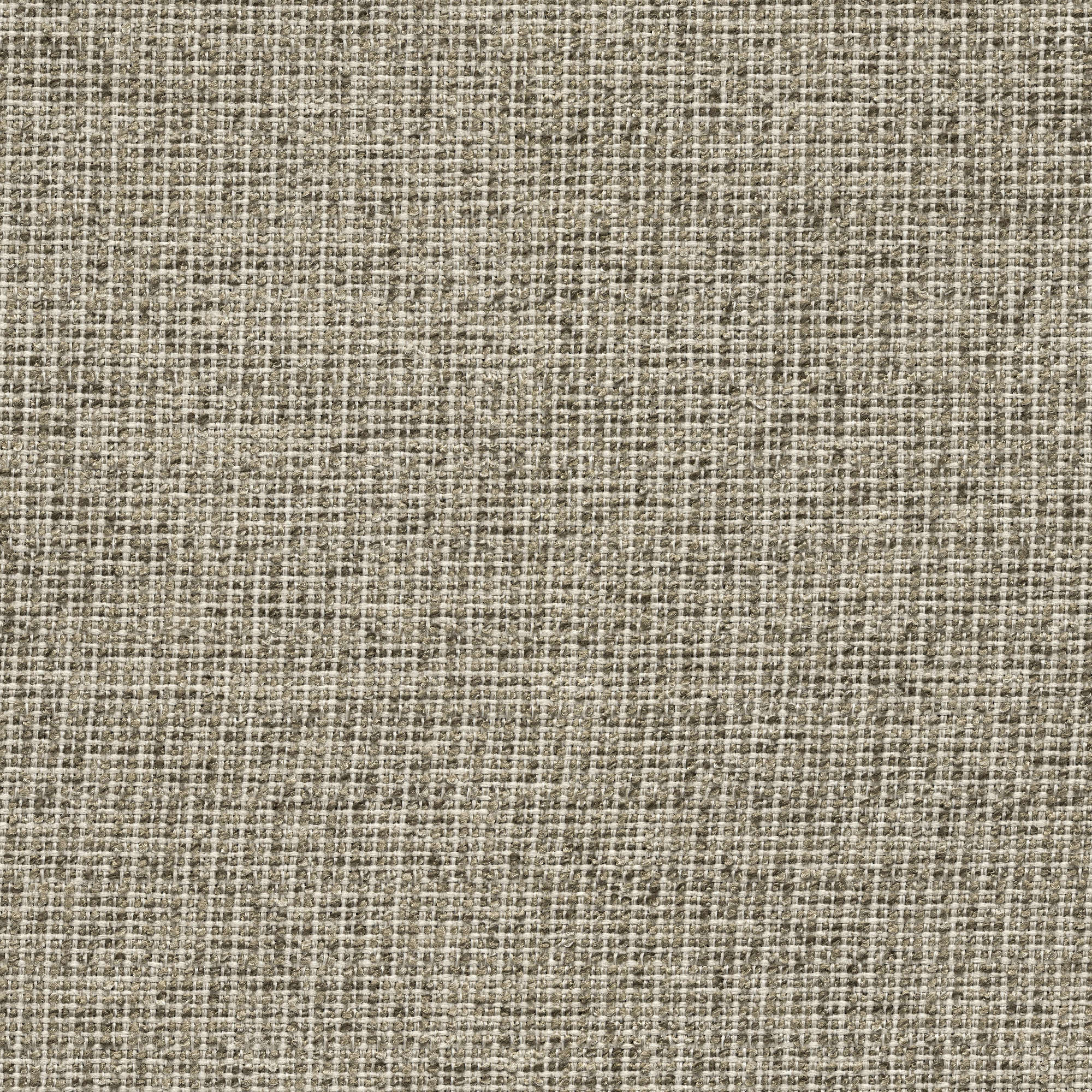 54445 FOG (ZEST)