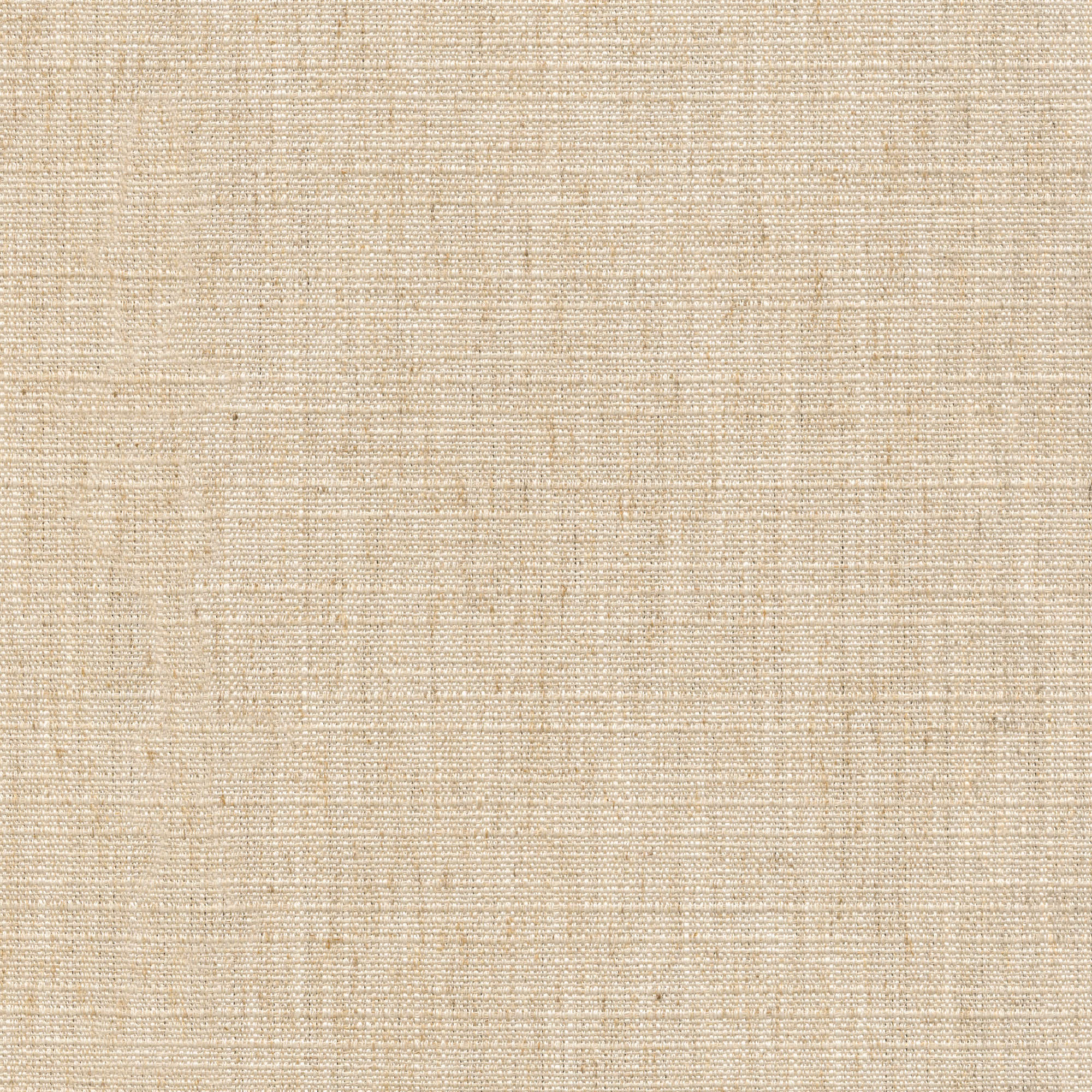 54503 CREAM (IRIS)