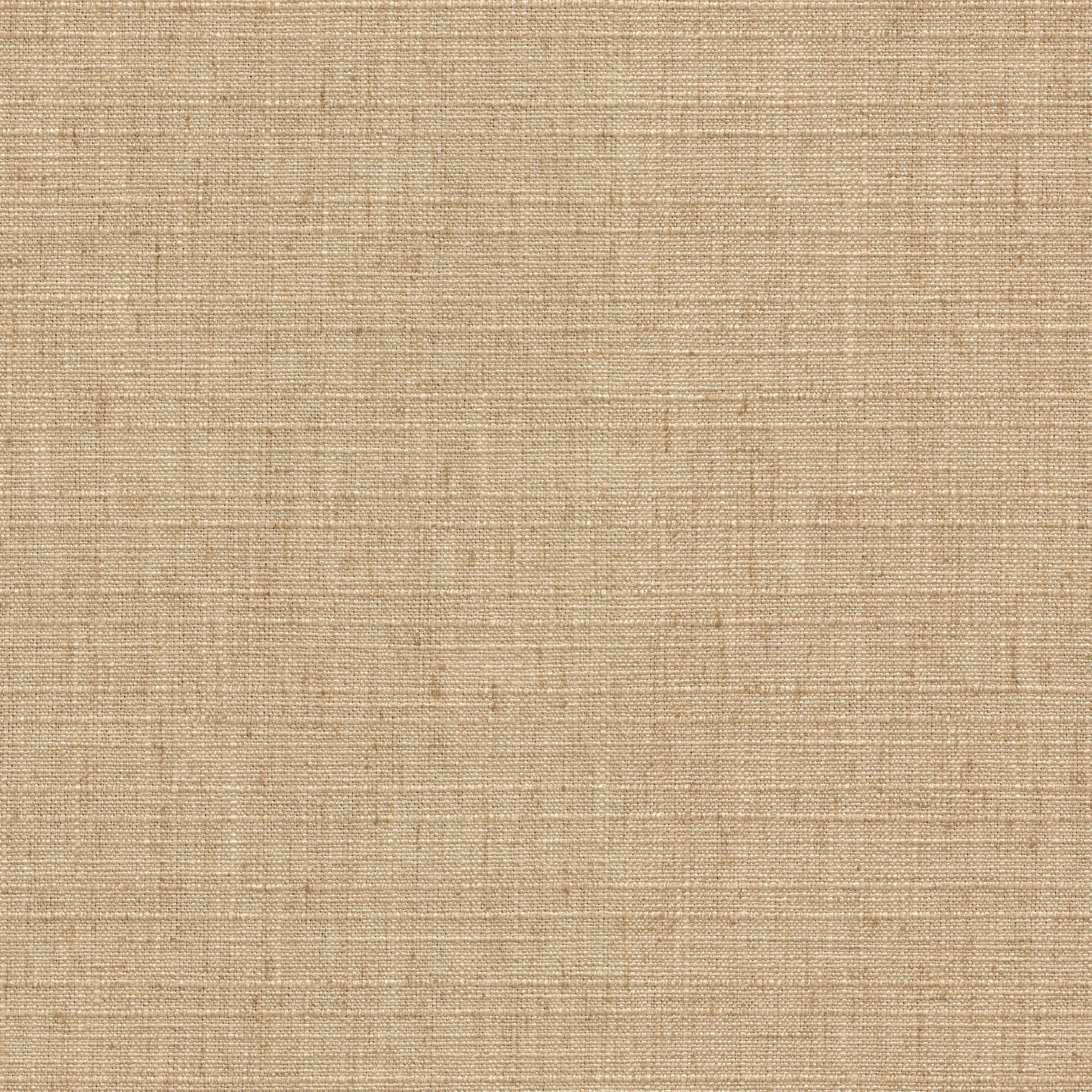 54504 LINEN (IRIS)