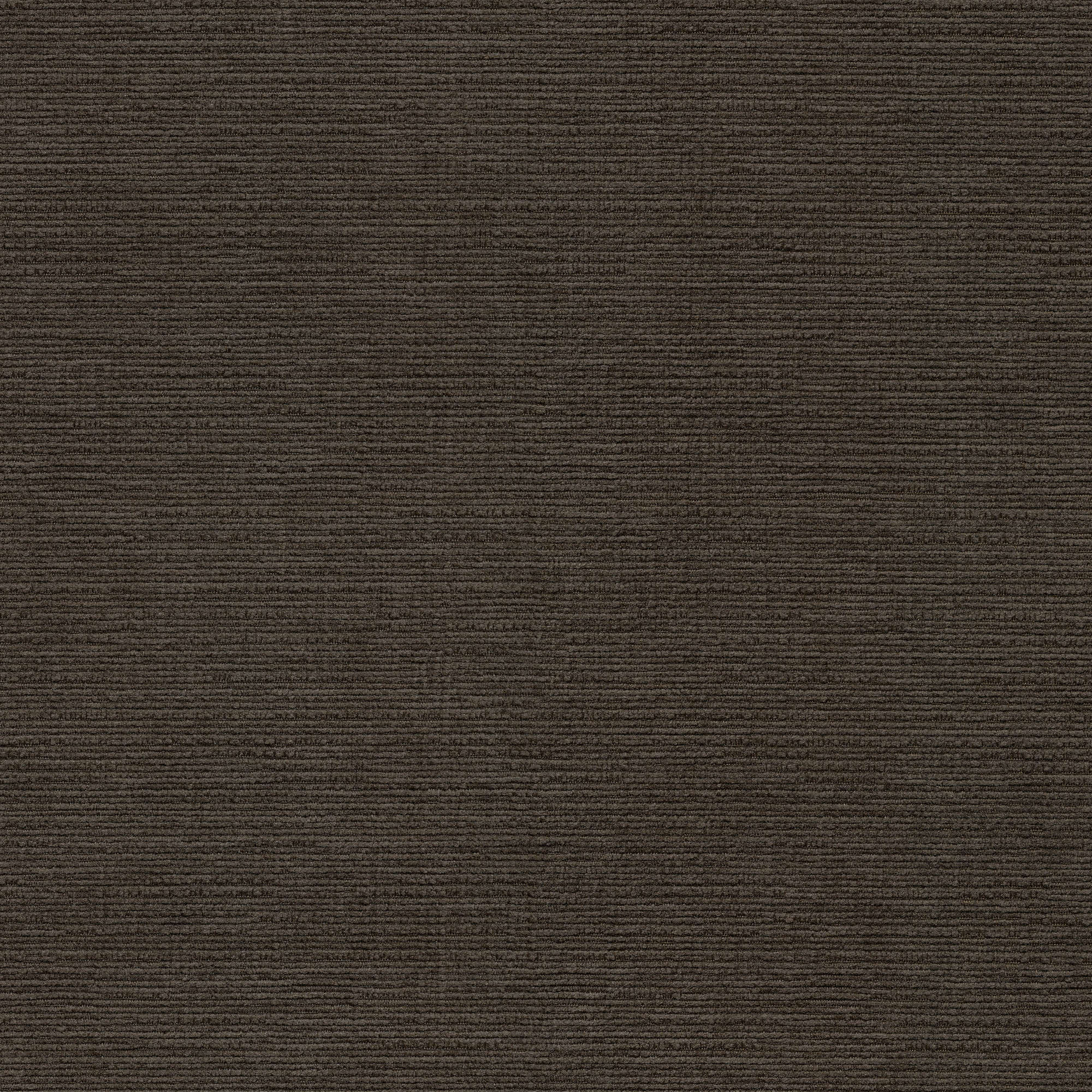 54509 MOCHA (DUBLIN)