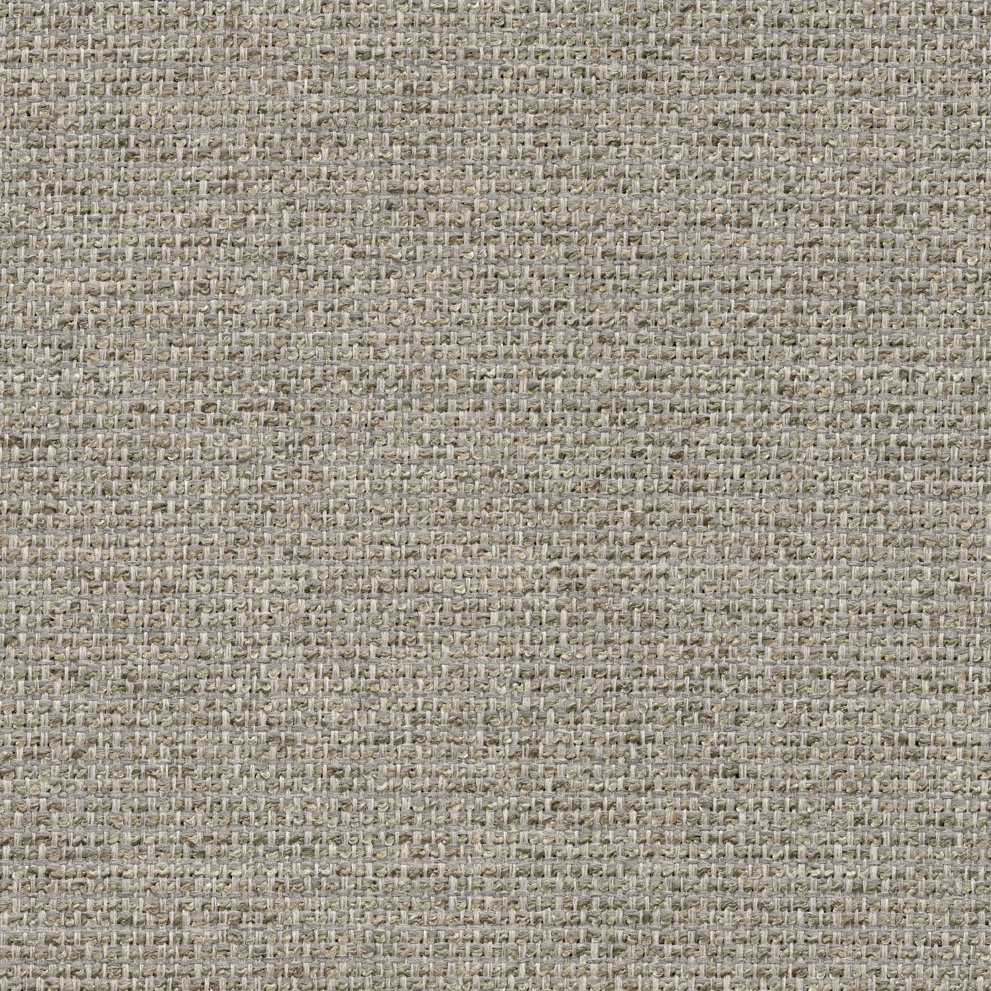 54536 FOG (CHORUS)