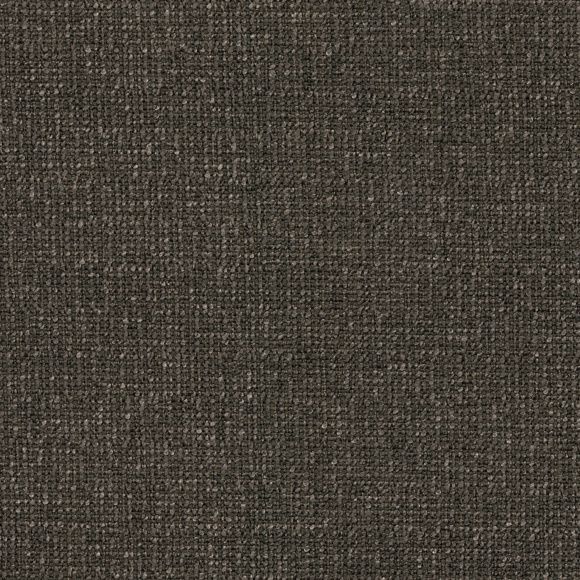 54537 MIDNIGHT (ZEST)