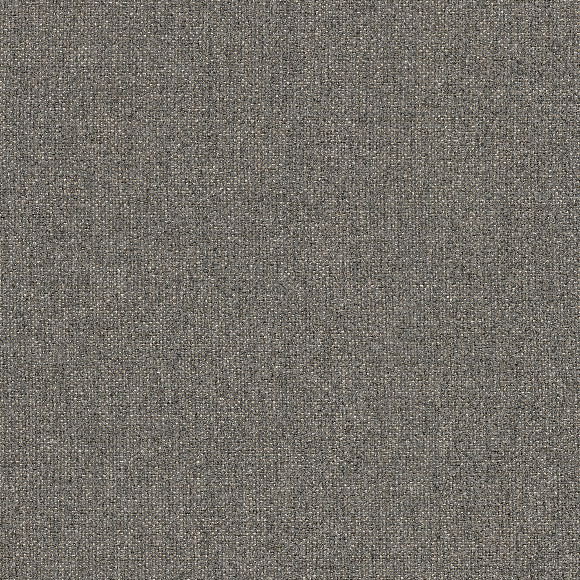 54541 CHARCOAL (CANDY)