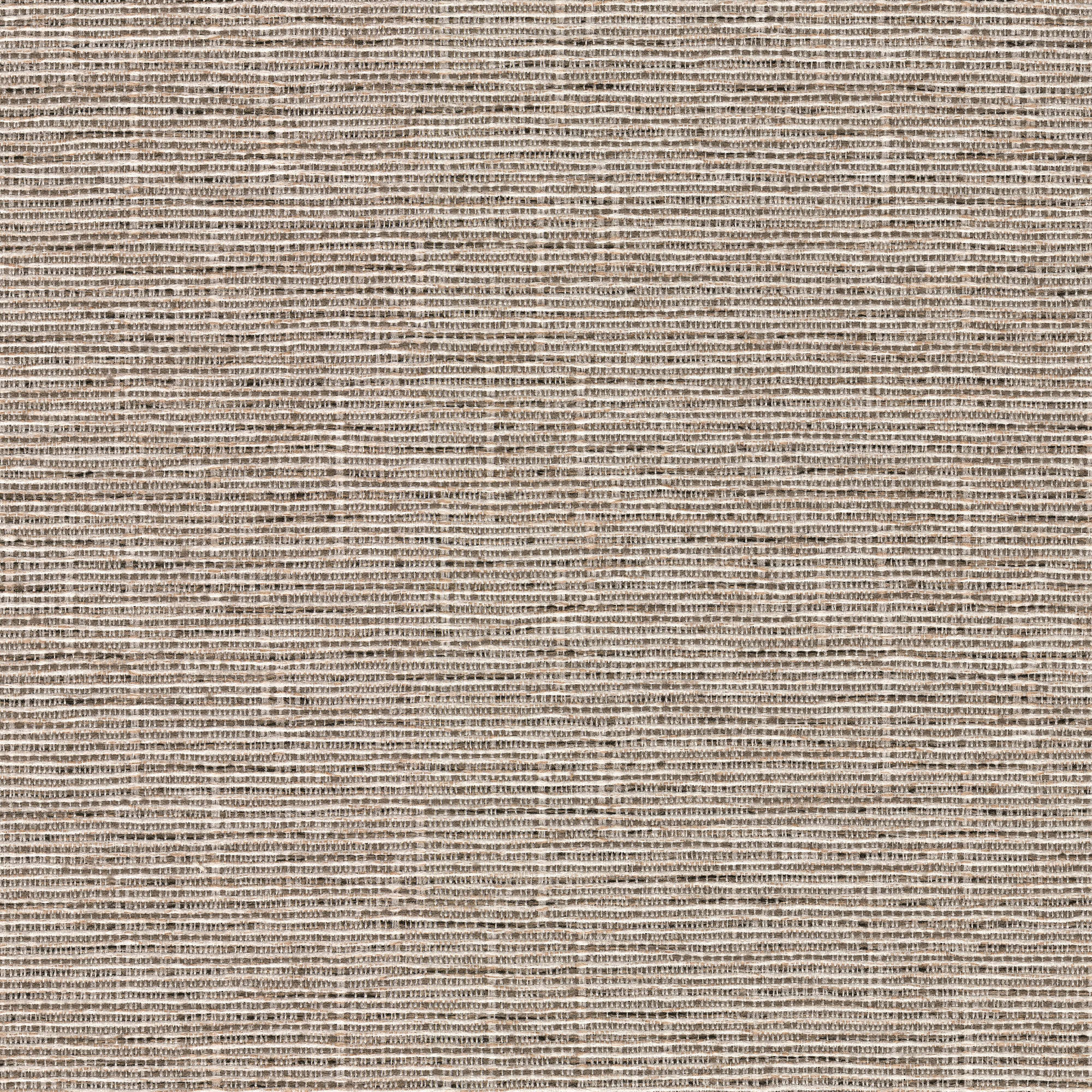 54544 GREY (YOLO)