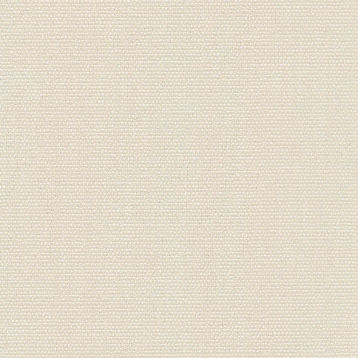 54604 WHITE (LUCKY)