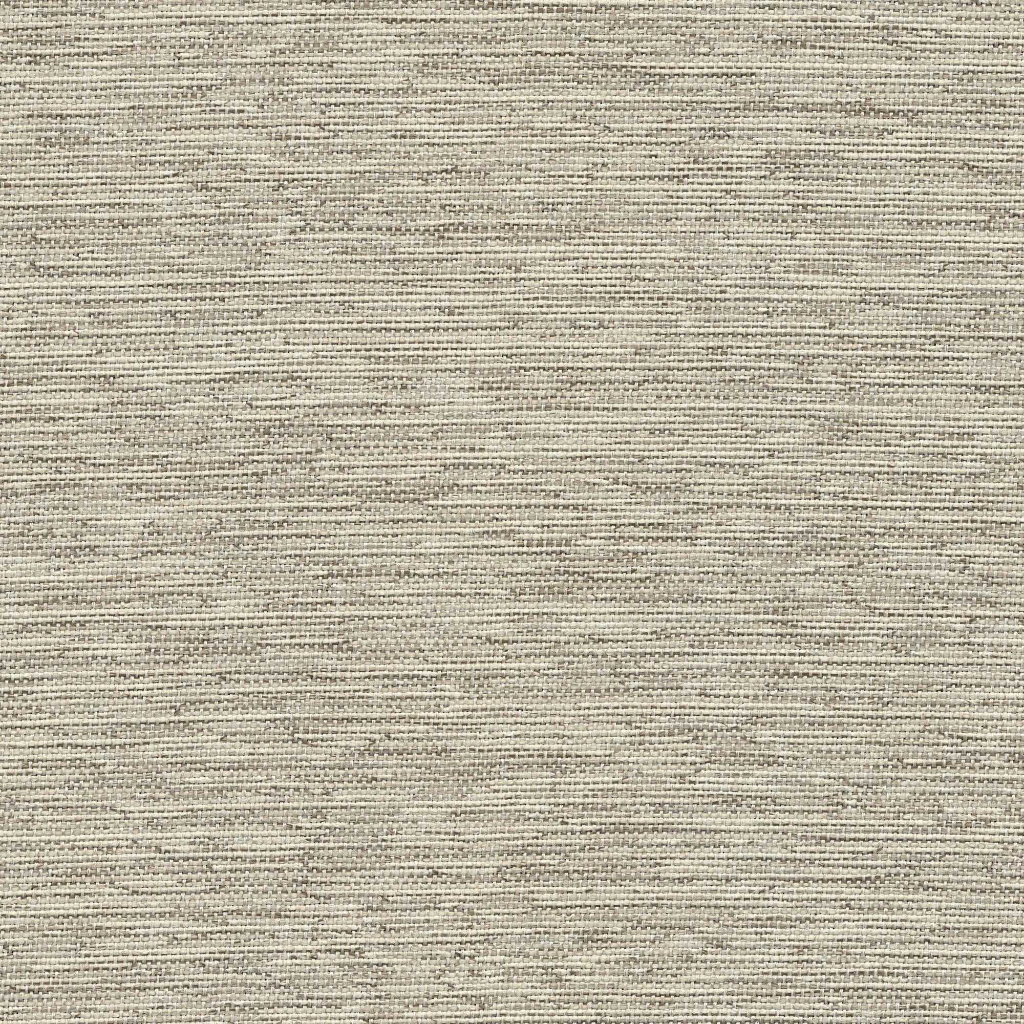 54623 CANVAS (CORSAIR)