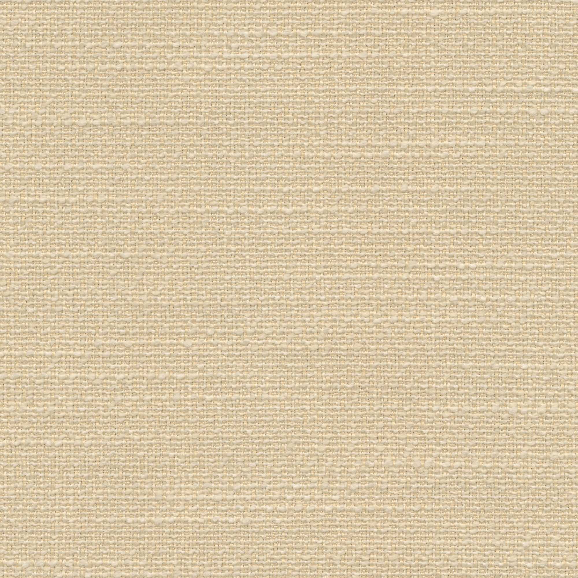 54705 IVORY (SCOUT)