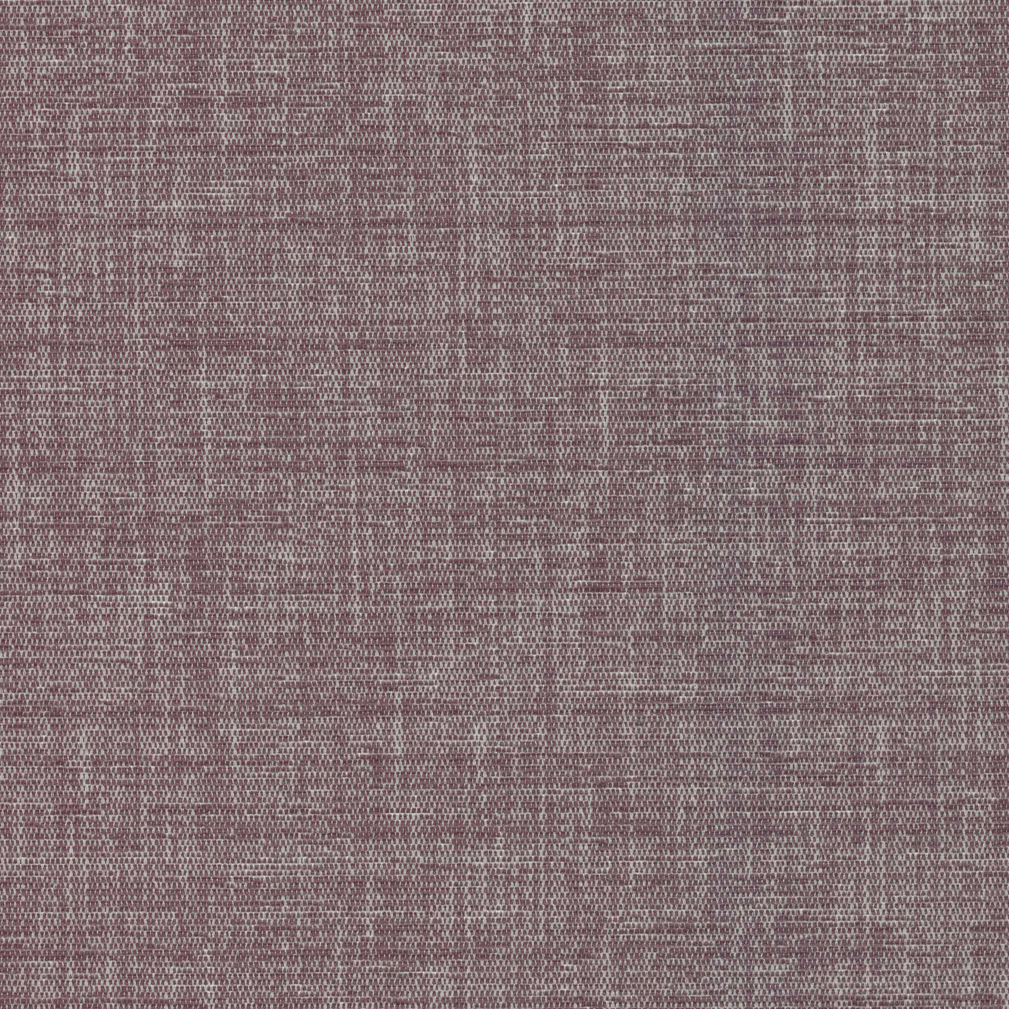 54711 PLUM (ELOISE)