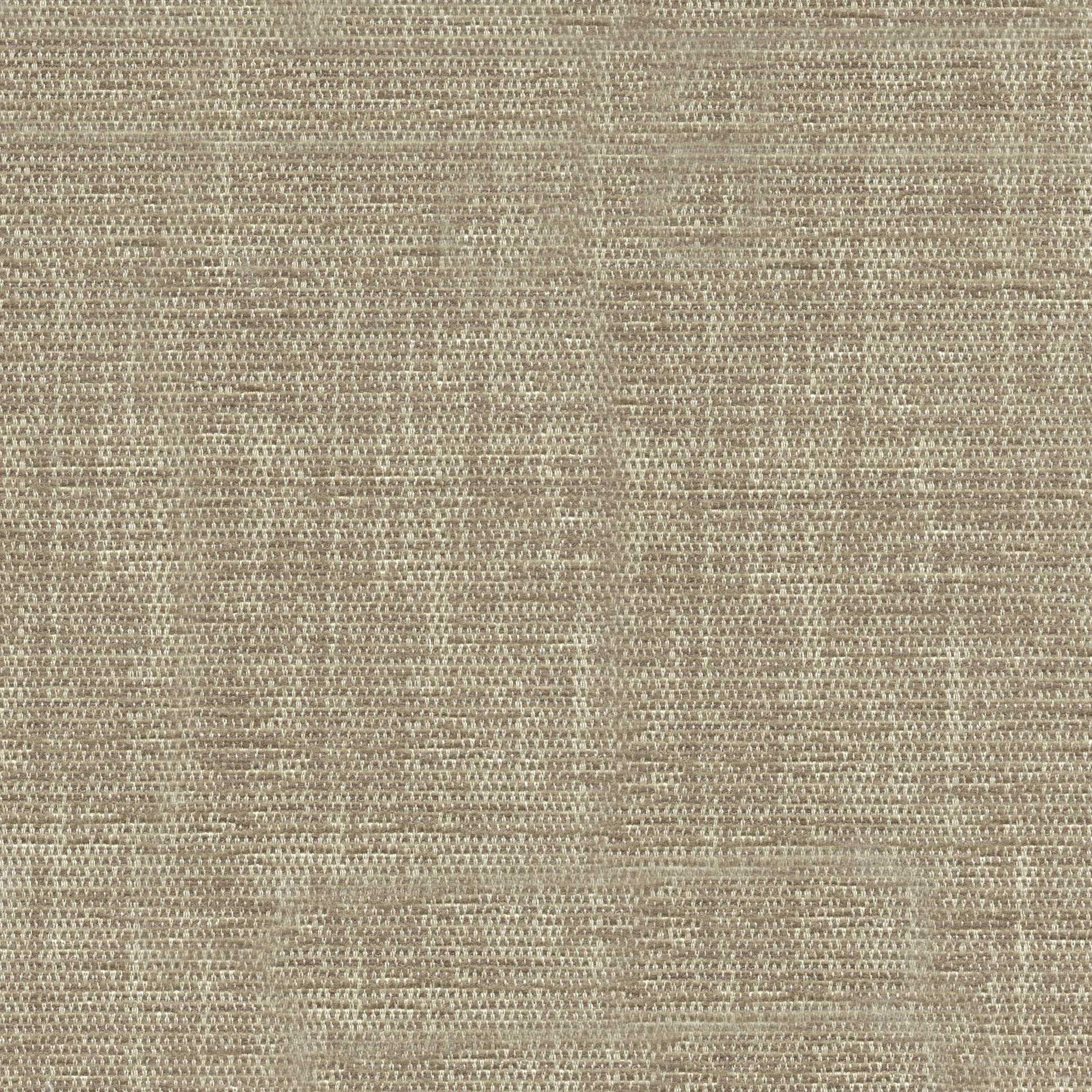 54724 CAMEL (ELOISE)