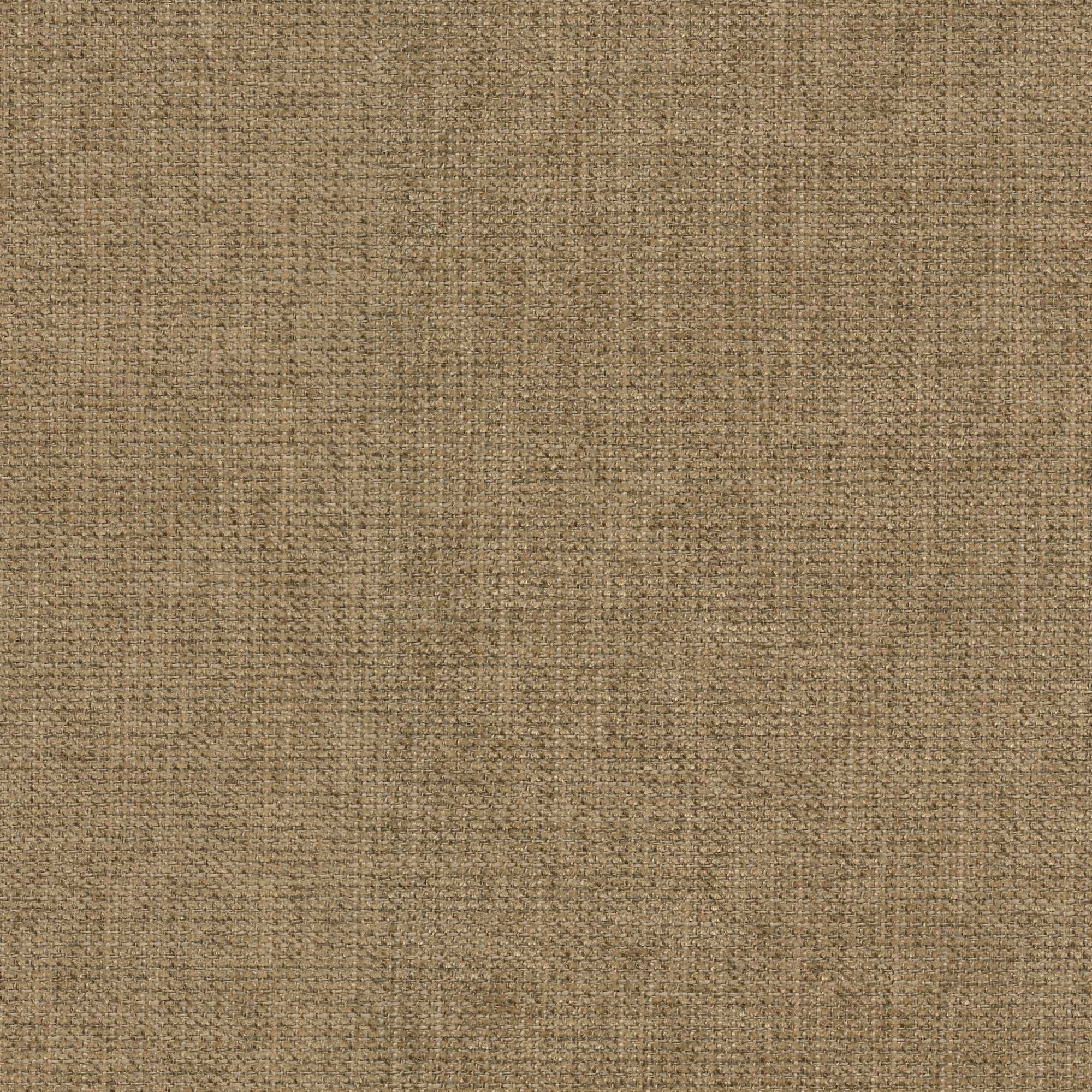 54733 CAMEL (MOGUL)