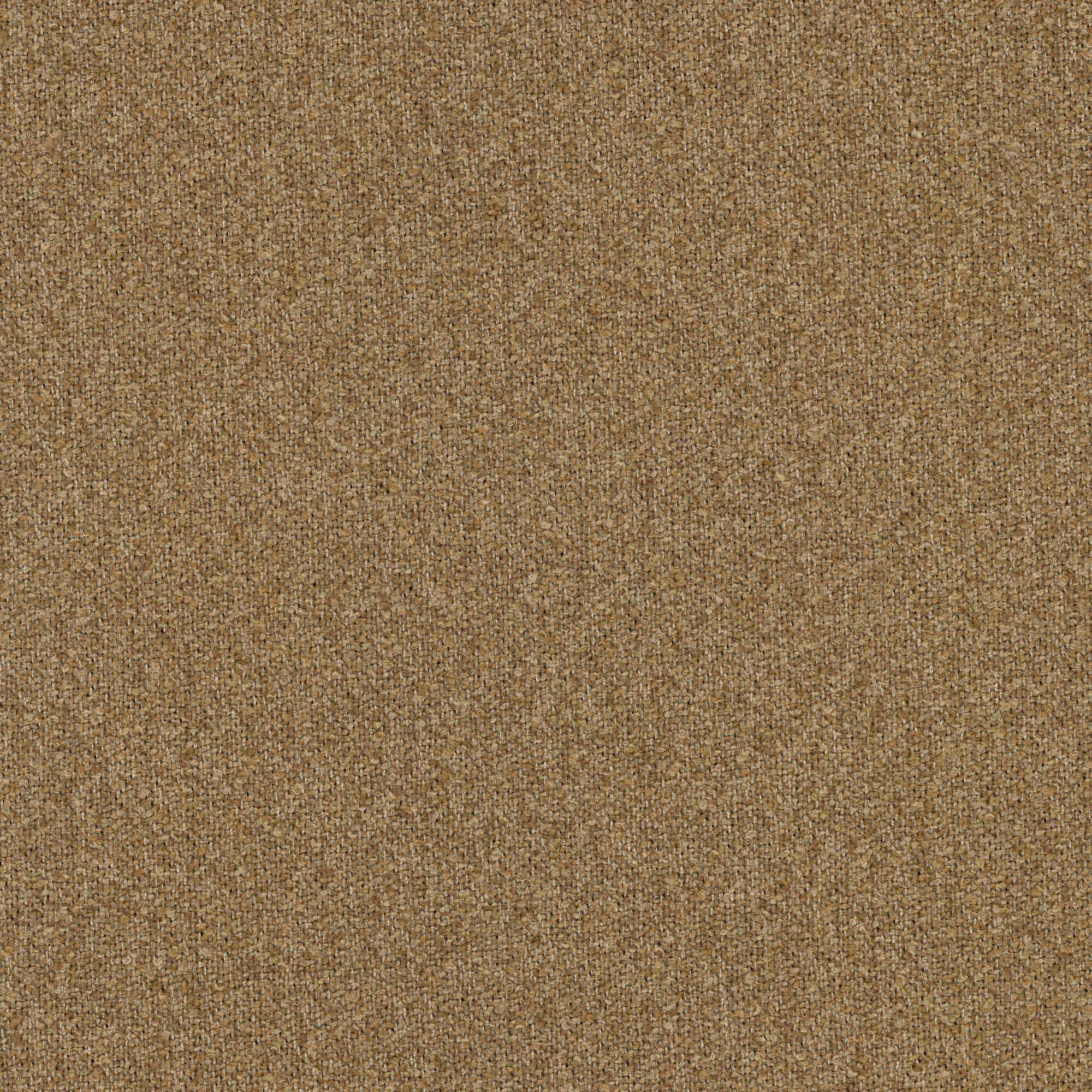 54840 BRONZE (NIMBLE)