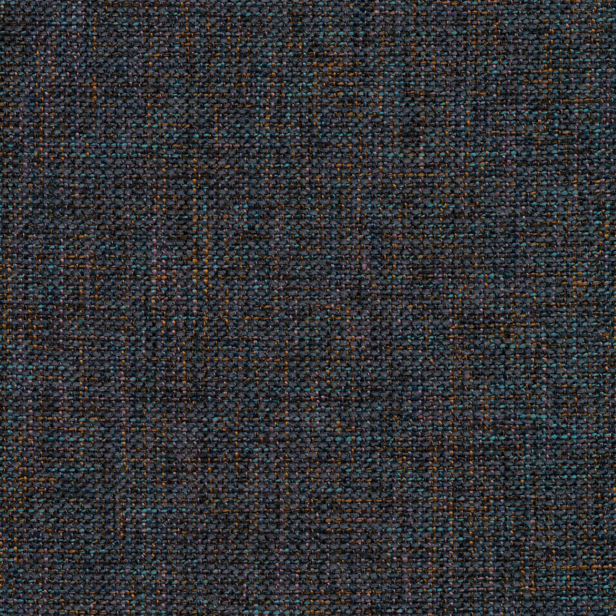 54902 INDIGO (RINGO)