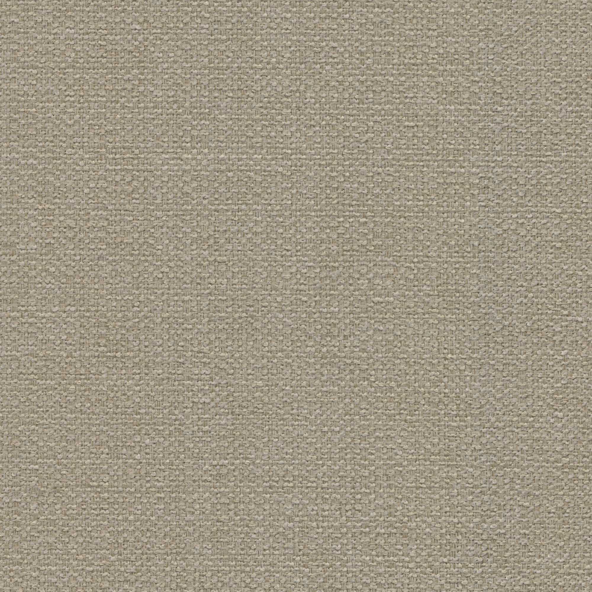 54904 SAND DOLLAR (STELLAR)